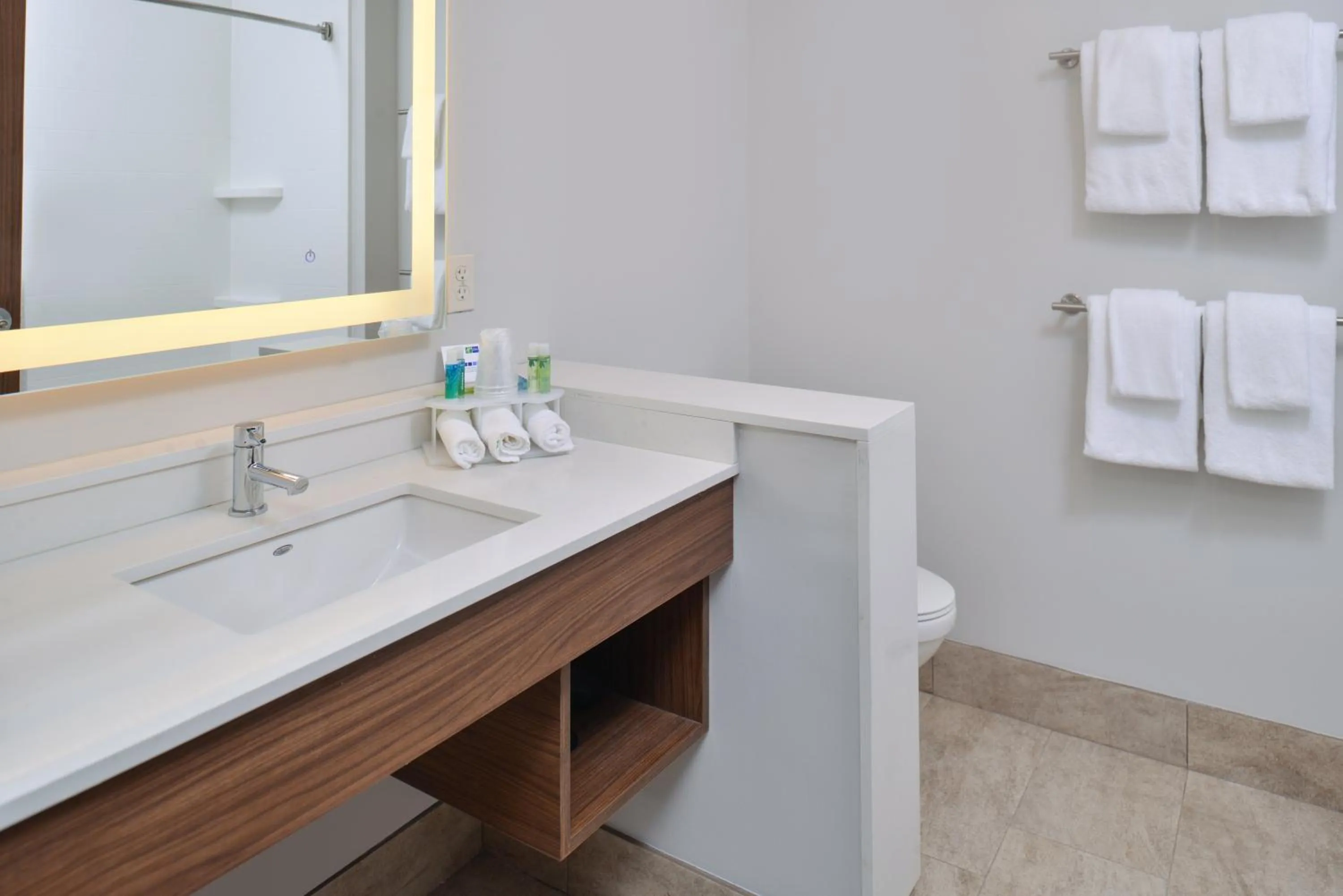 Bathroom in Holiday Inn Express & Suites - Southgate - Detroit Area by IHG