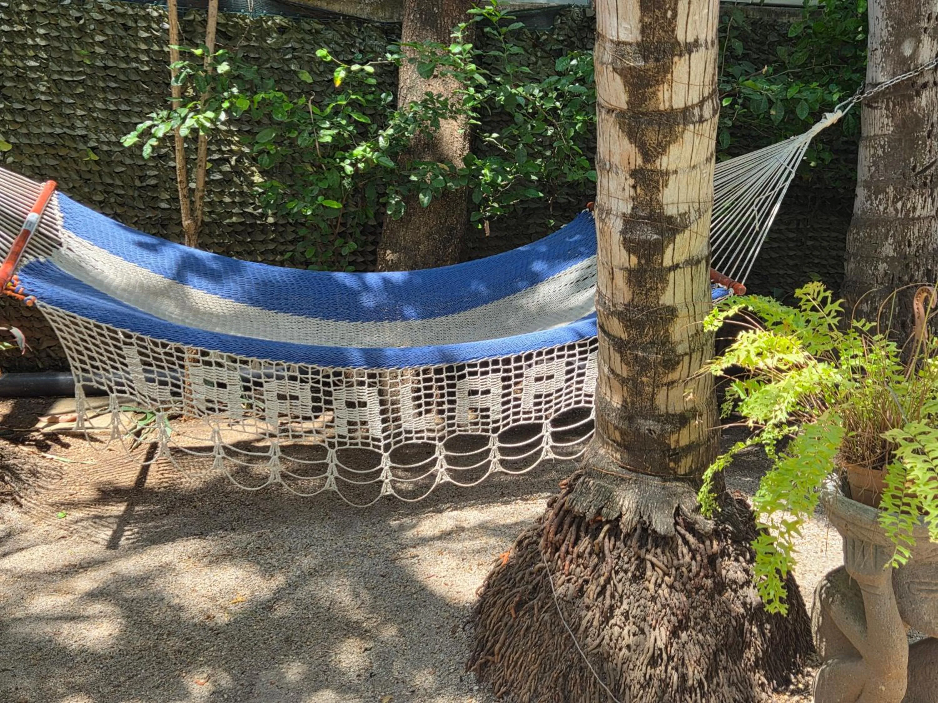 Garden in Hotel La Palapa
