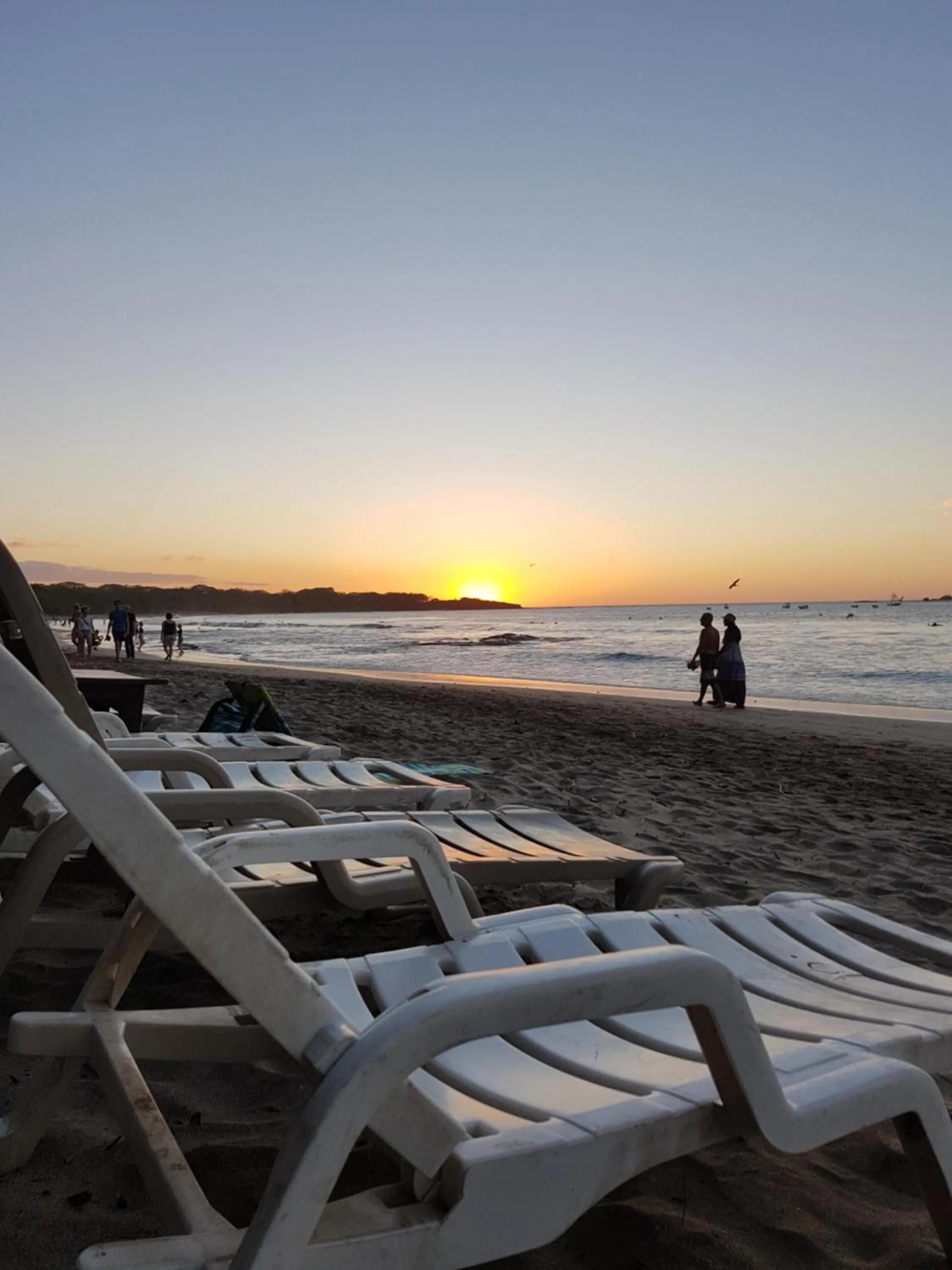 Beach in Hotel La Palapa