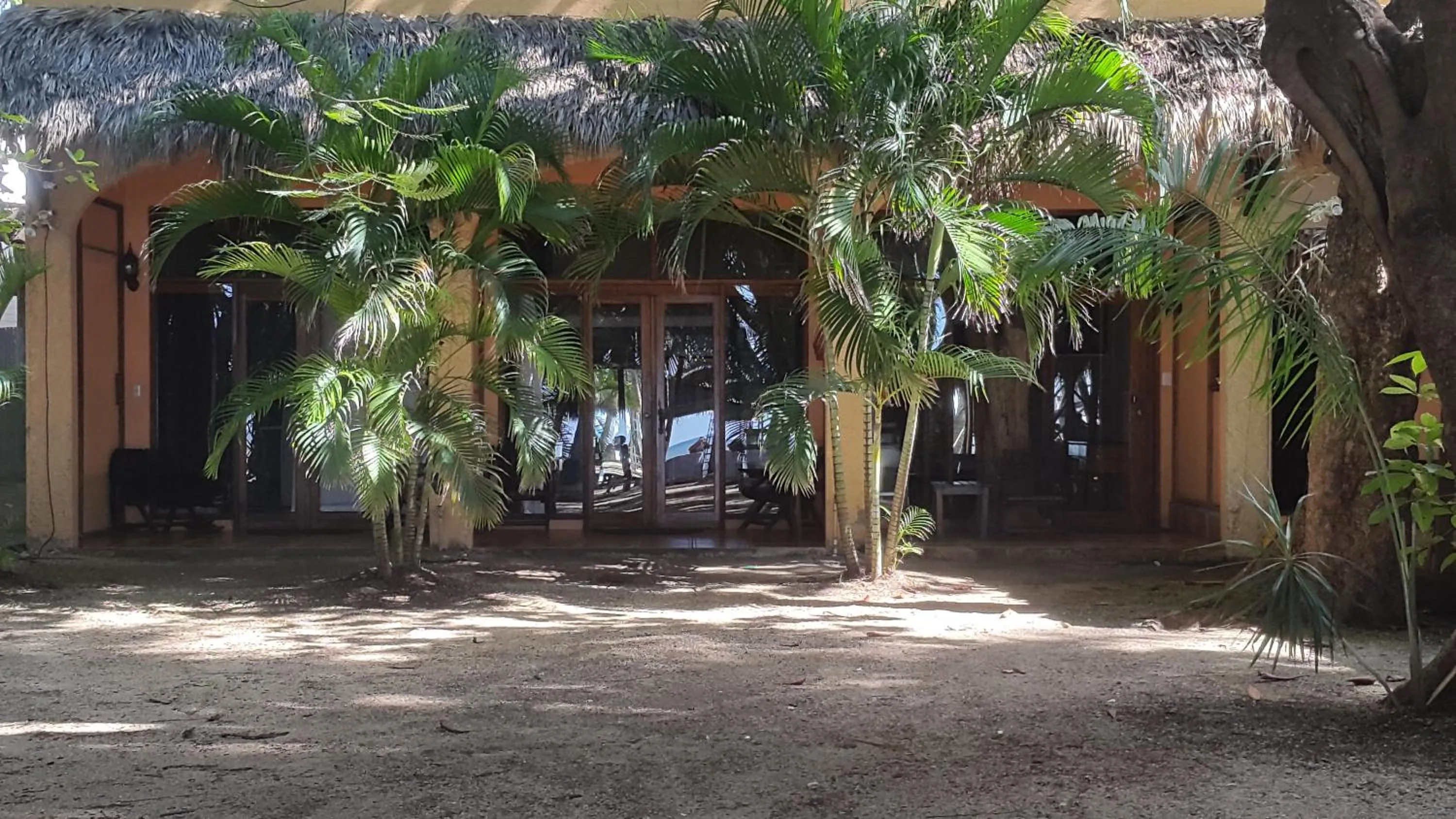 Balcony/Terrace in Hotel La Palapa