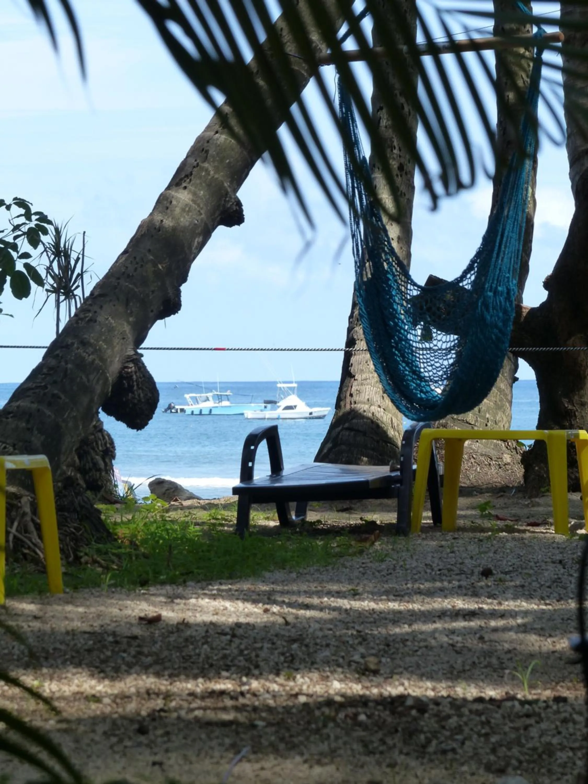 Garden in Hotel La Palapa