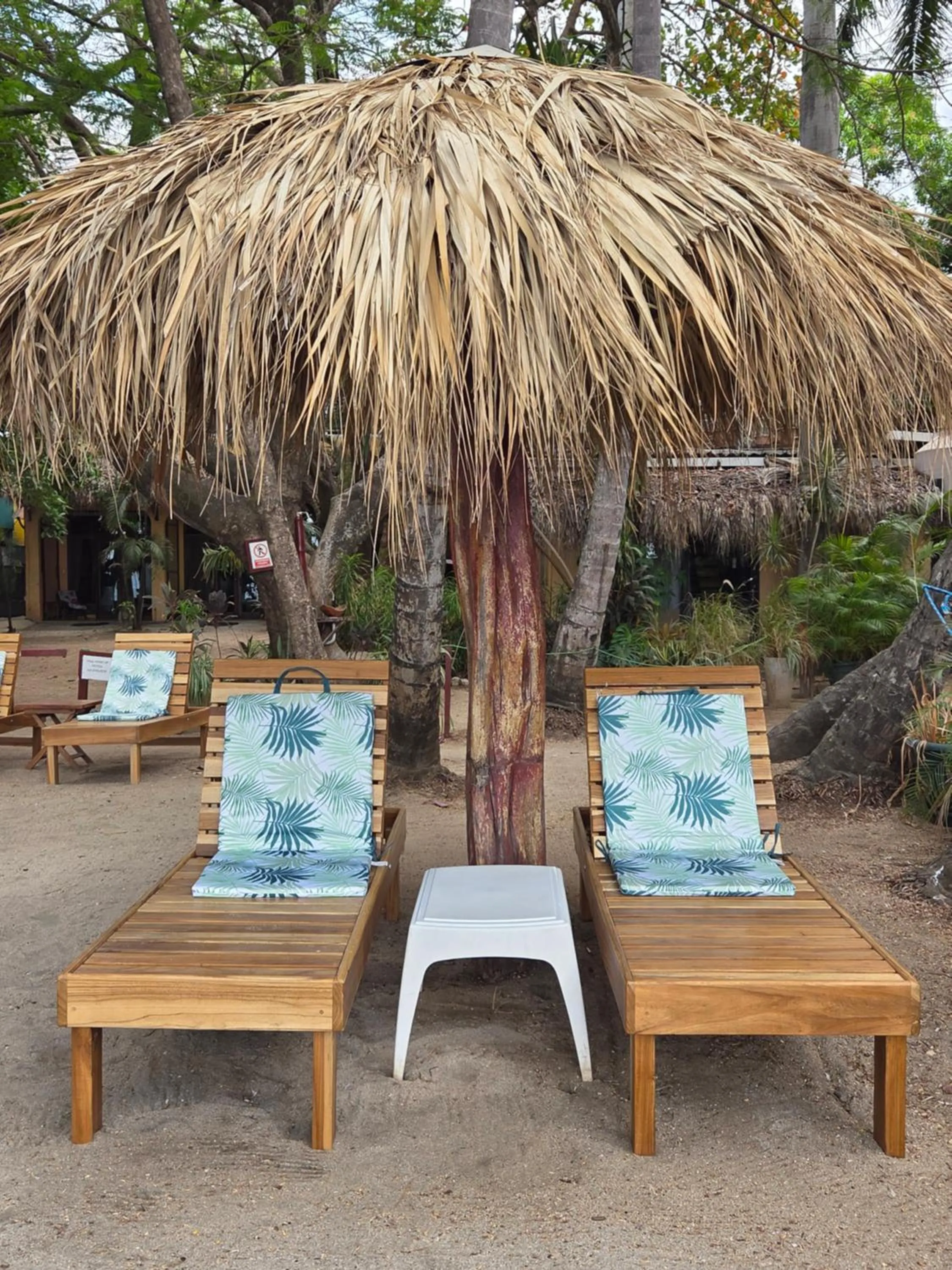 Day in Hotel La Palapa