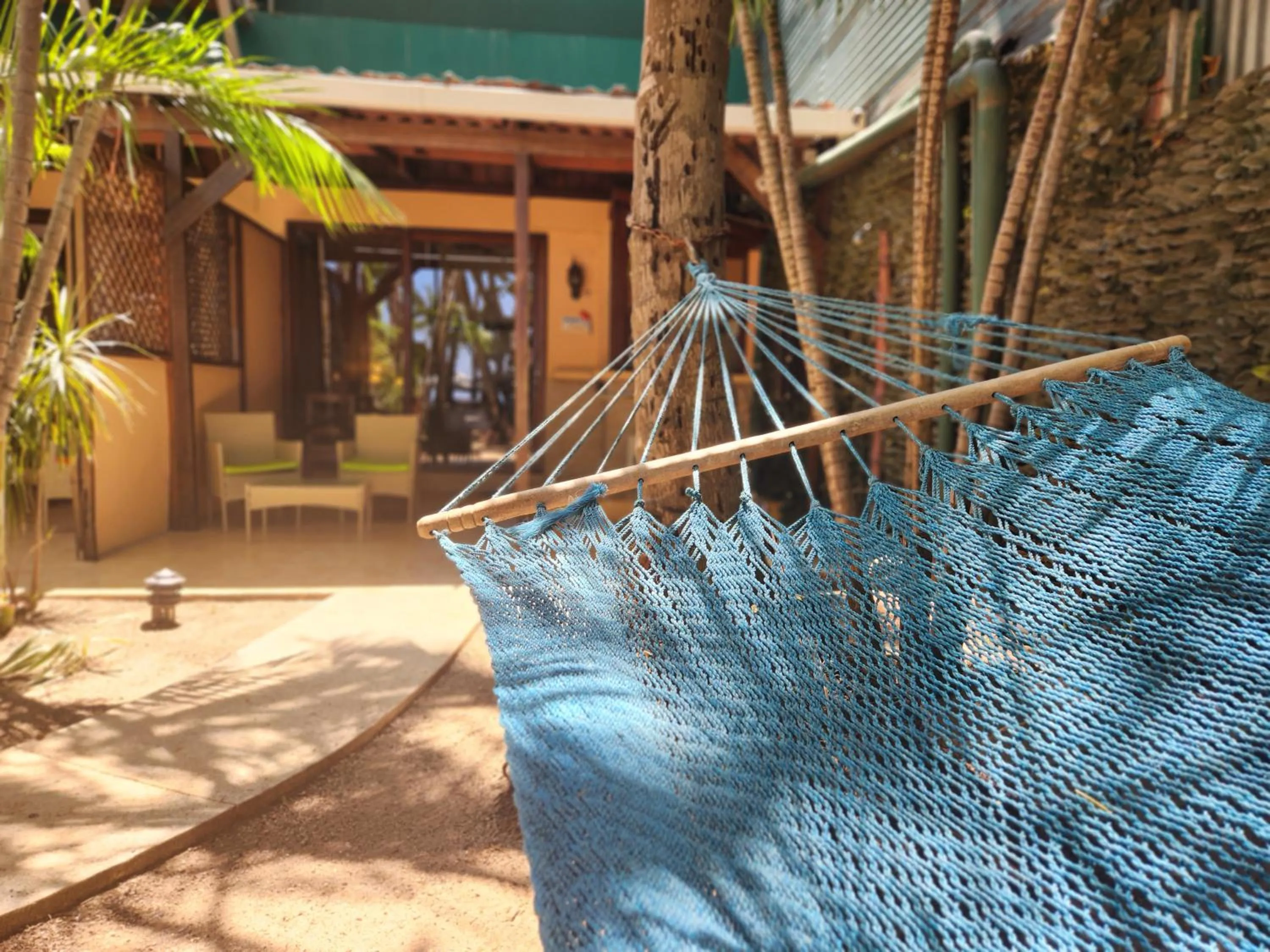 Garden in Hotel La Palapa