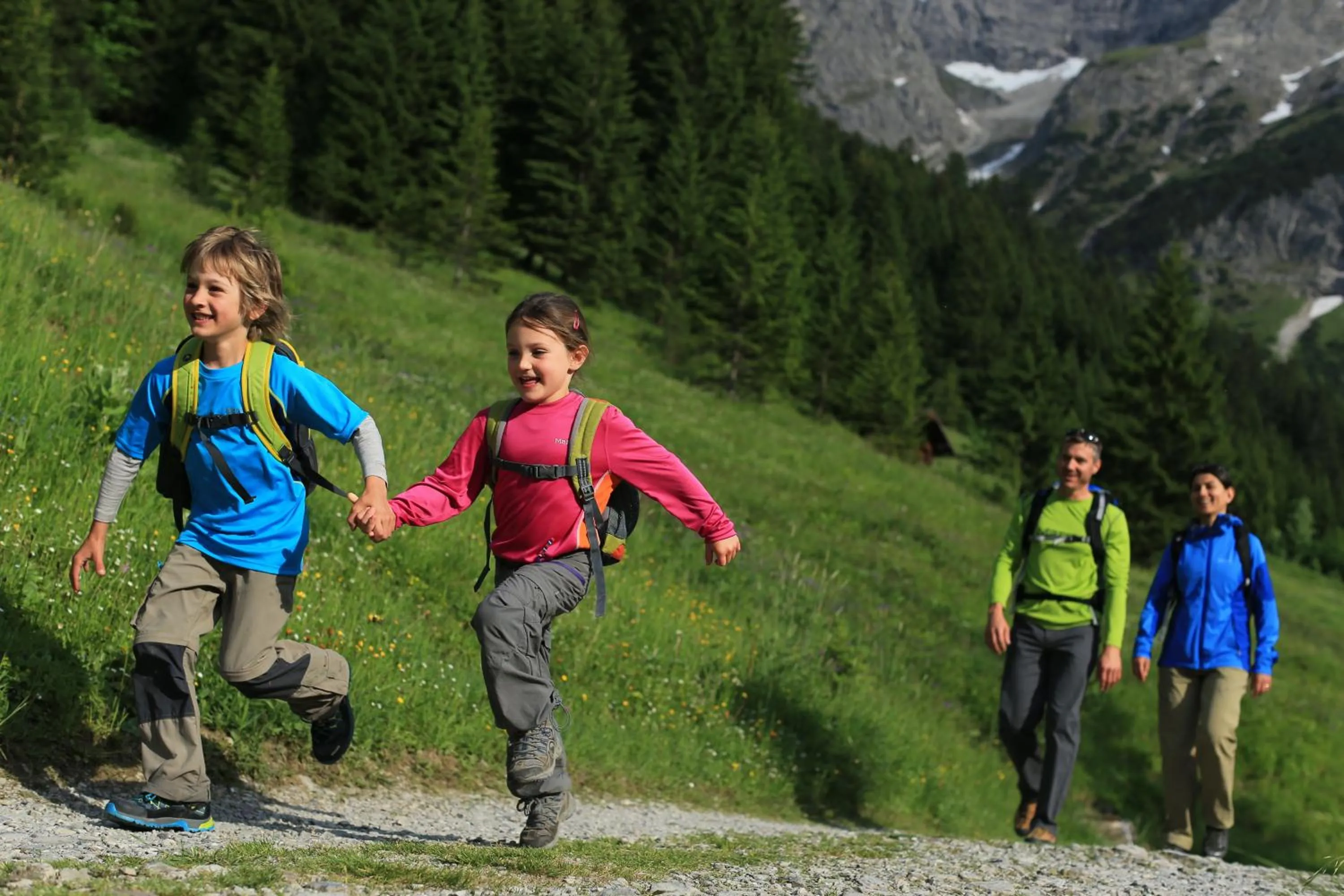 Hiking in Alp-Chalet