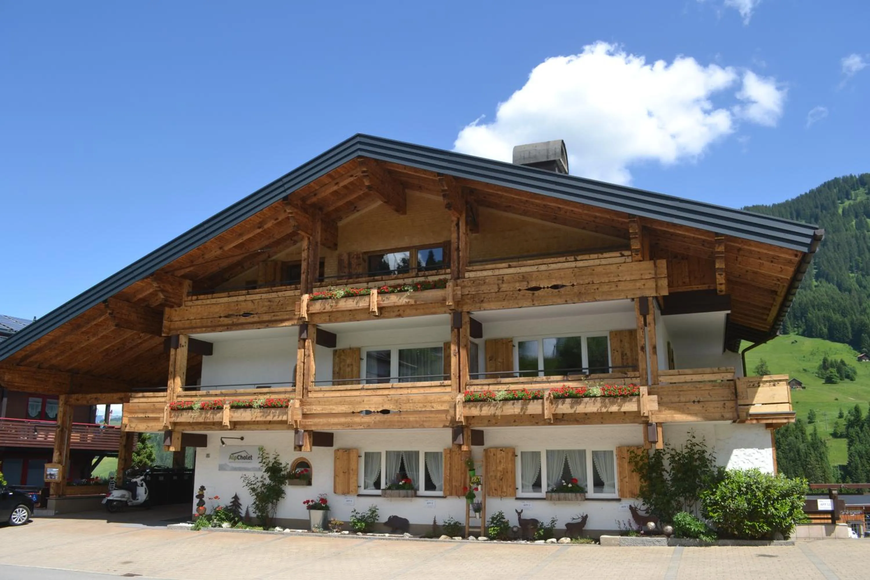 Property building in Alp-Chalet