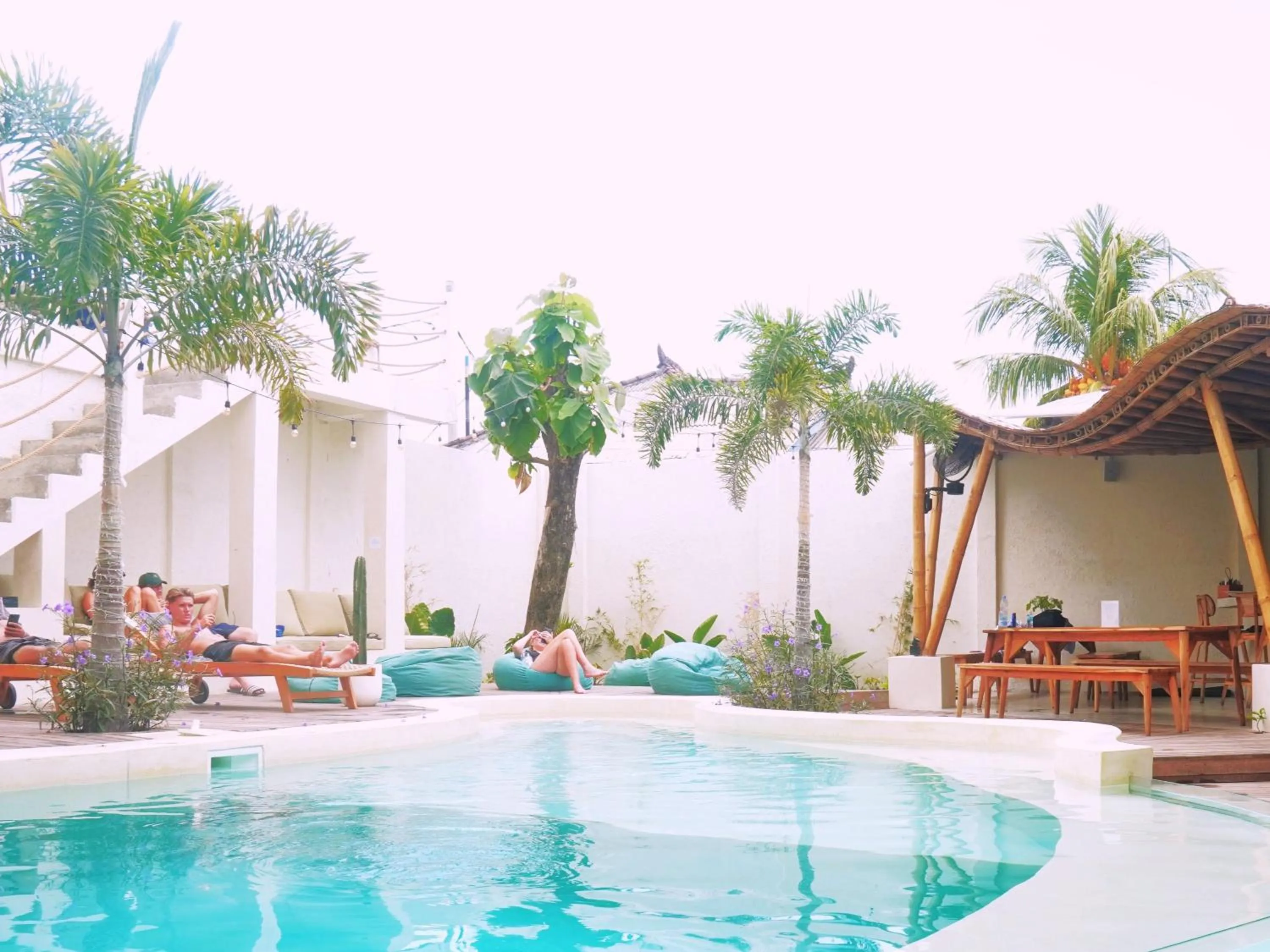 Tipsea Turtle Gili Trawangan