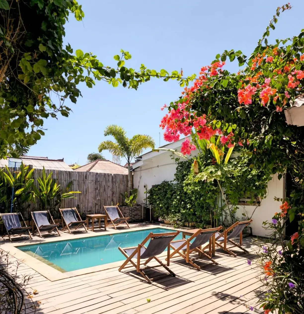 Tipsea Turtle Gili Trawangan Tipsea Turtle Gili Trawangan