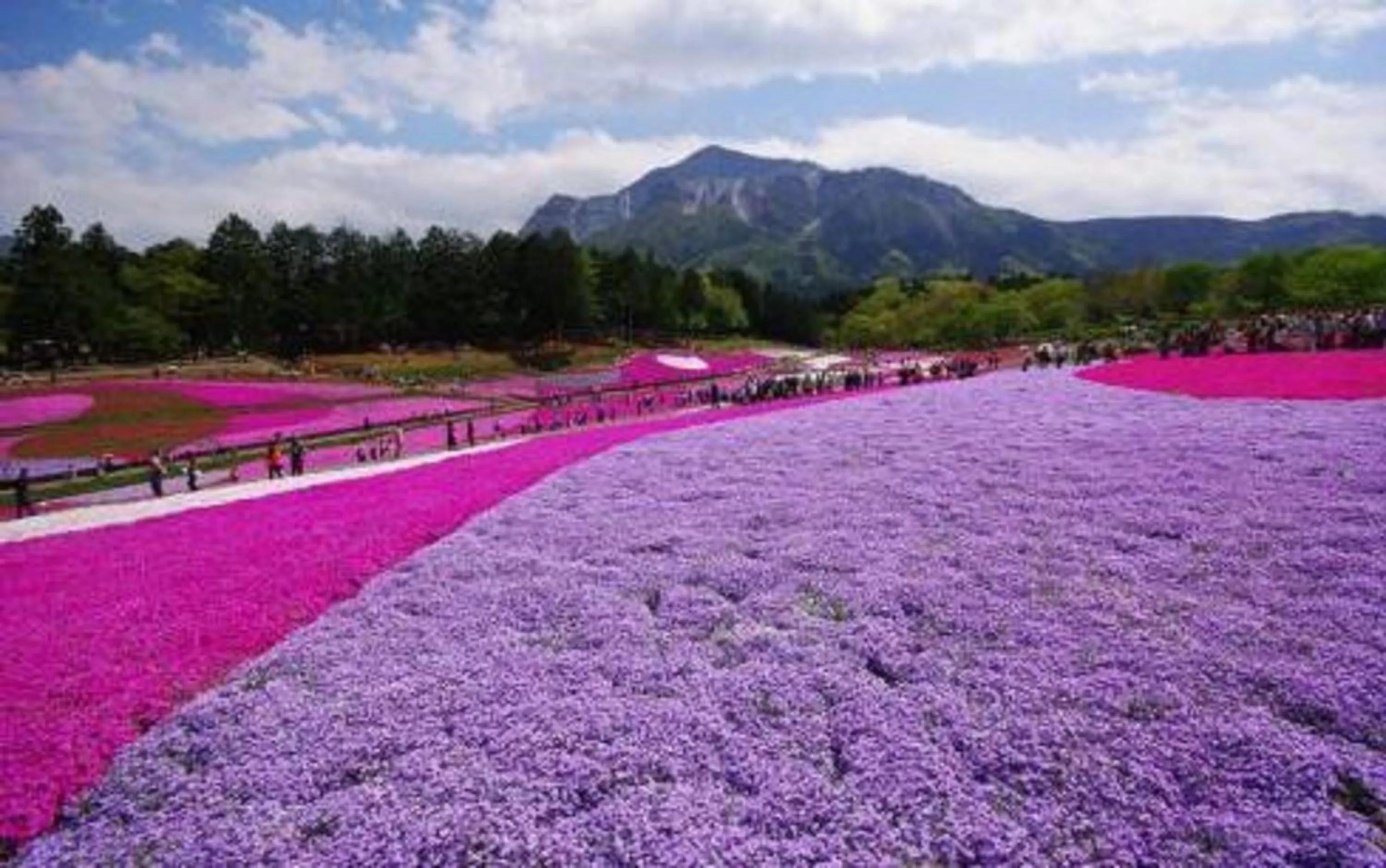Entertainment in One Meter Sunshine Xi'an Xianyang International Airport Hotel
