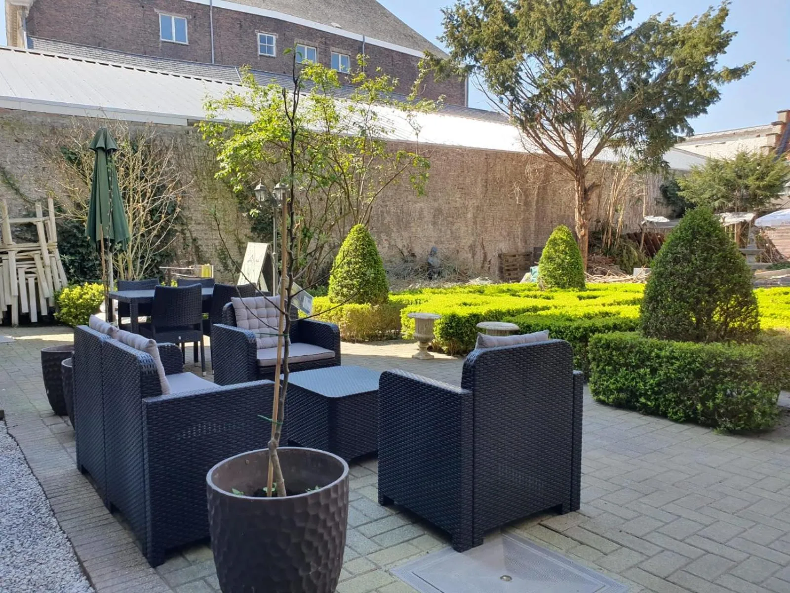 Garden in Erasmus Hotel