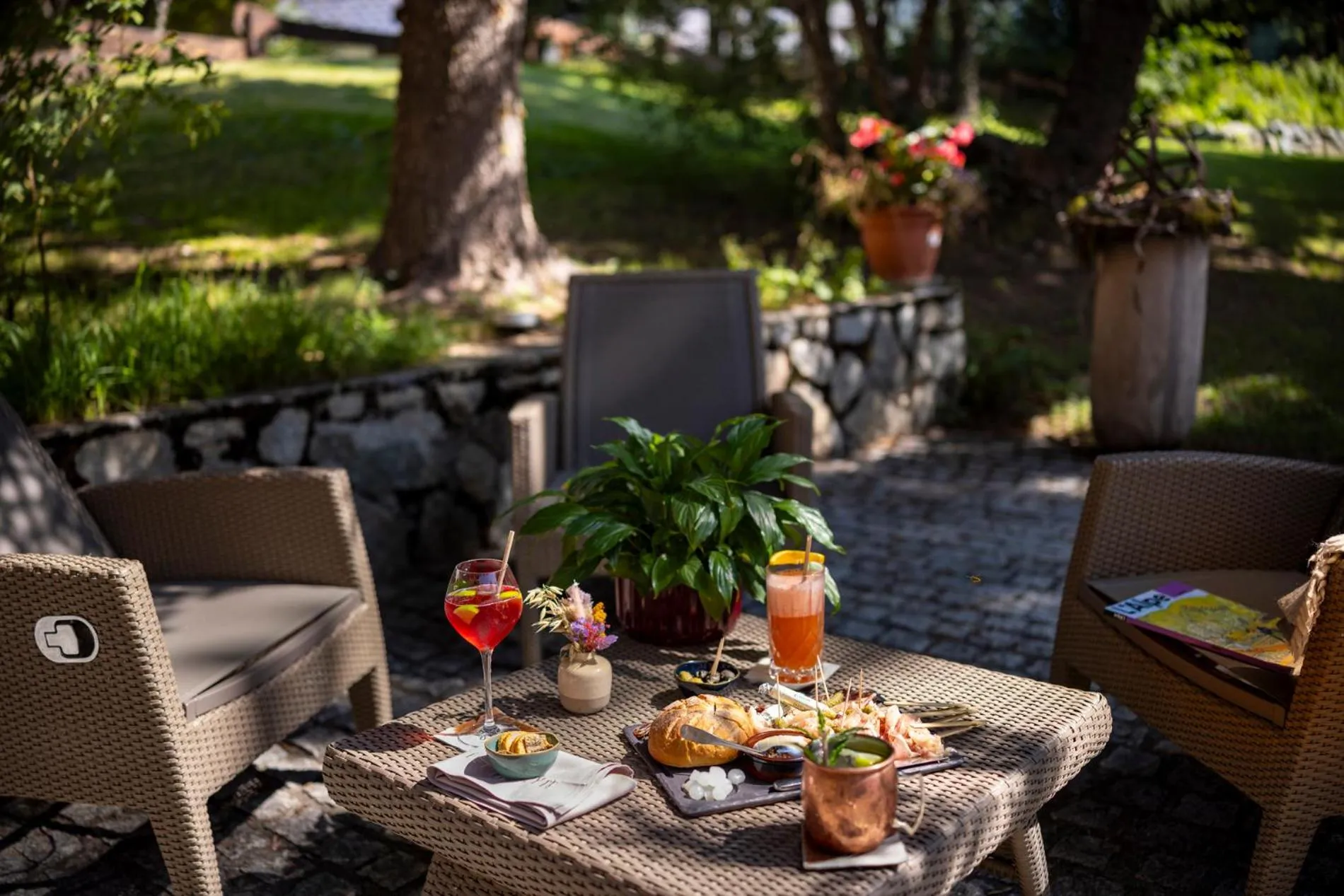 Hôtel Chalet Mounier