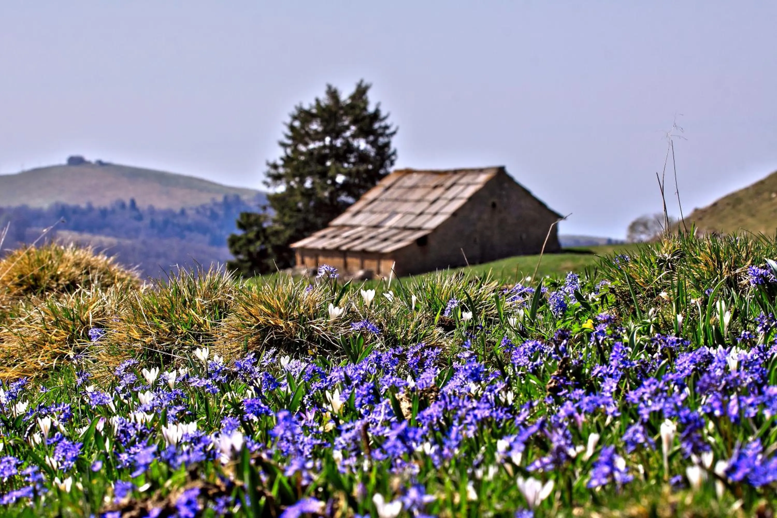 Spring in Casa Leon d'Oro