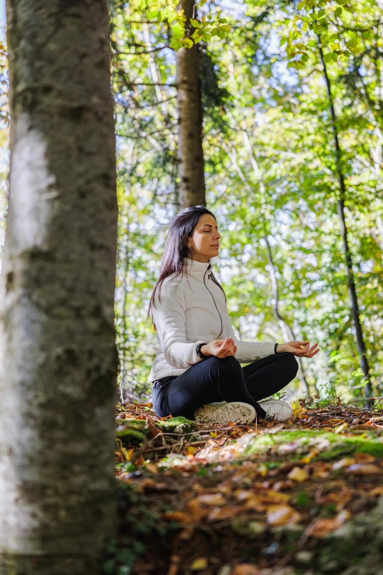 Natural landscape in Casa Leon d'Oro