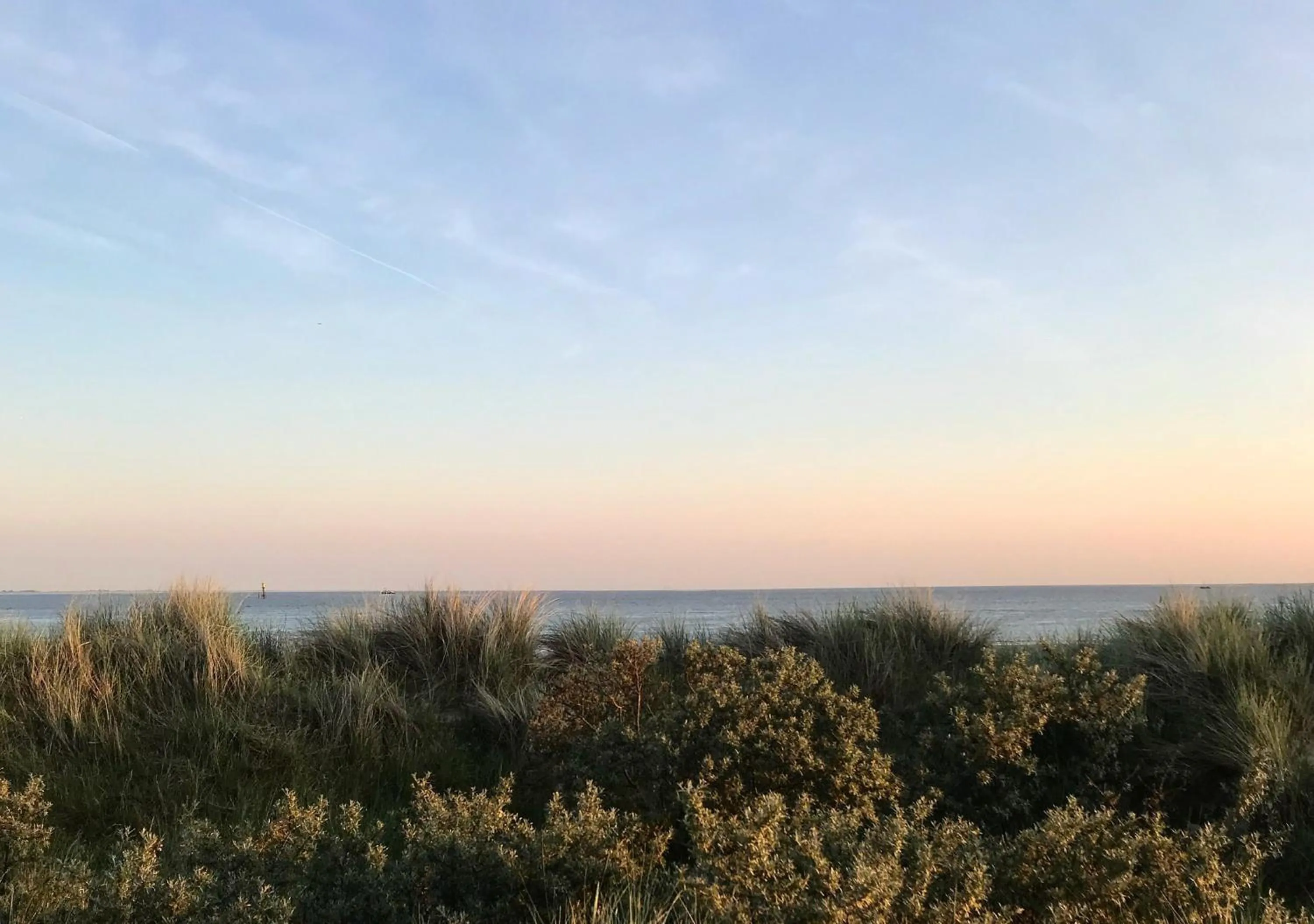 Natural landscape in Villa Breeksee