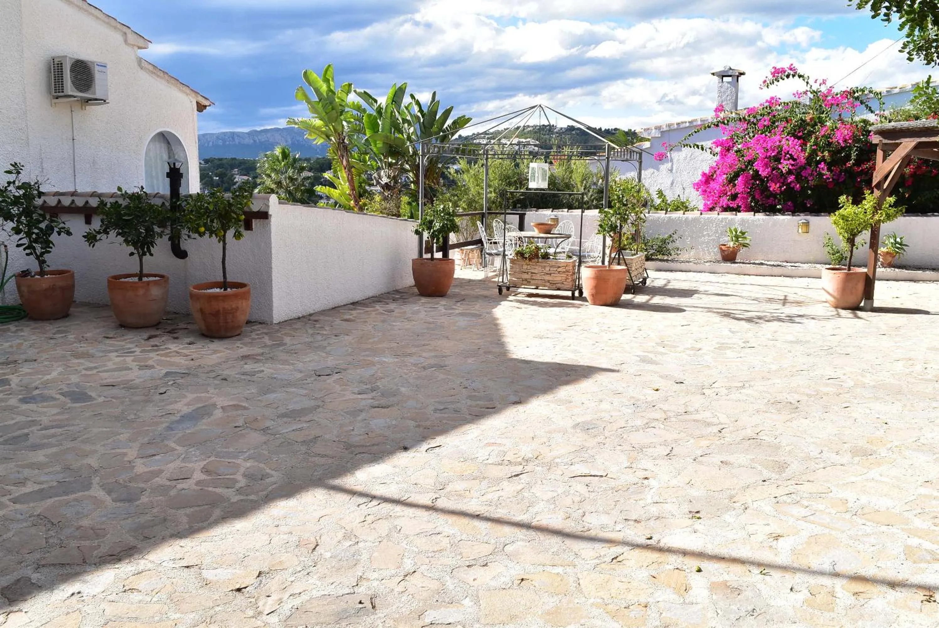Garden in Casa Blanca Suiza