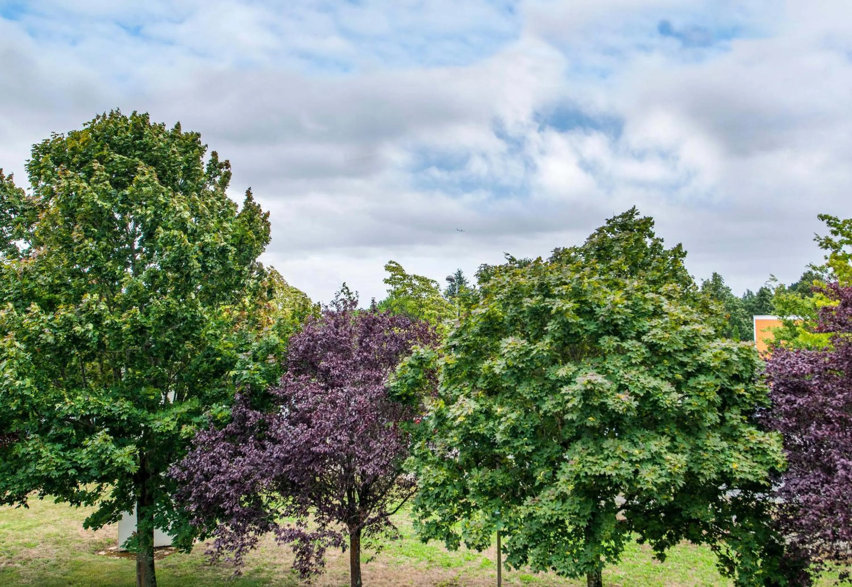 View (from property/room) in B&B HOTEL Nantes Parc Expos La Chapelle