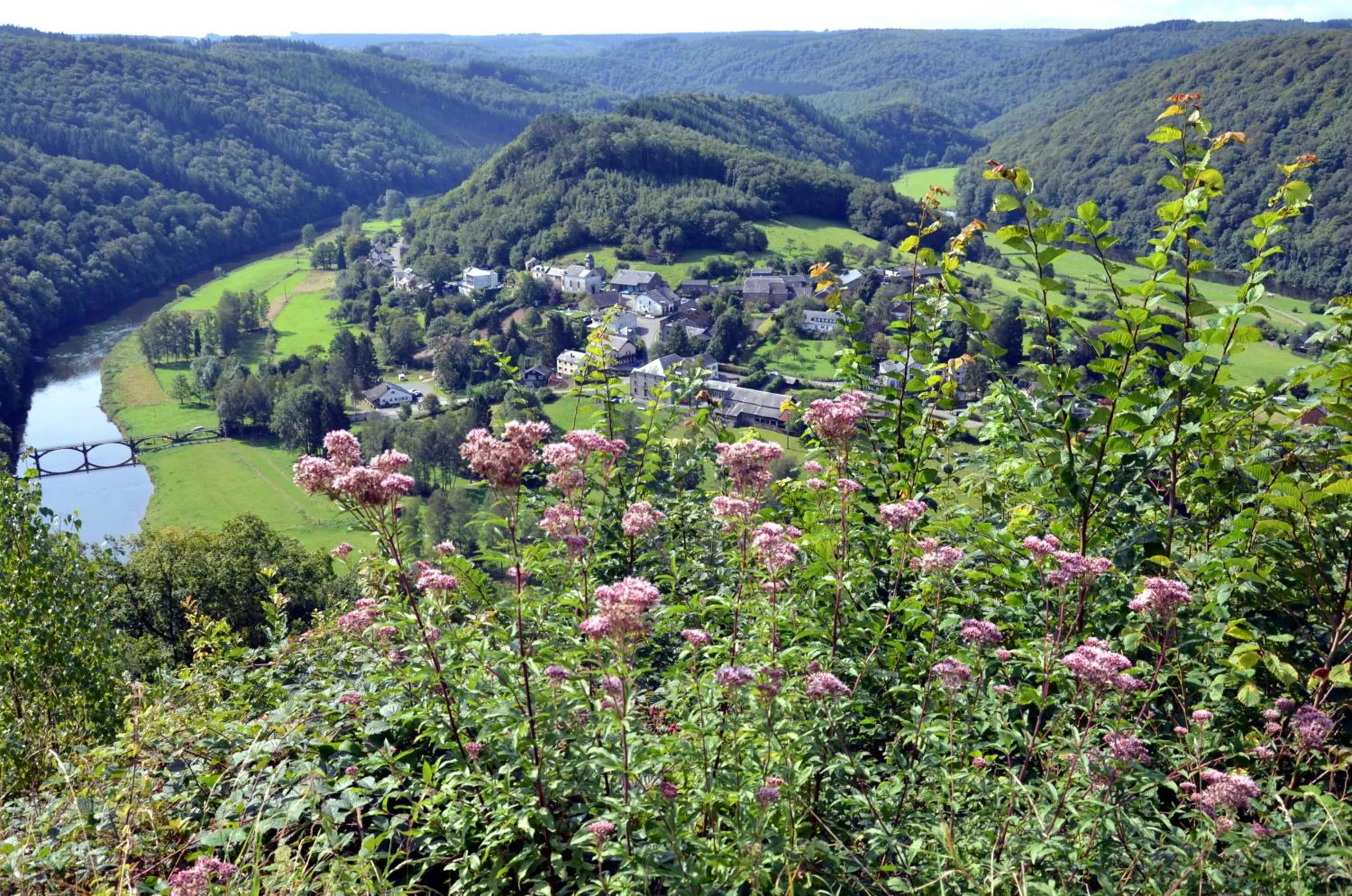 Activities in Hôtel L'Amandier