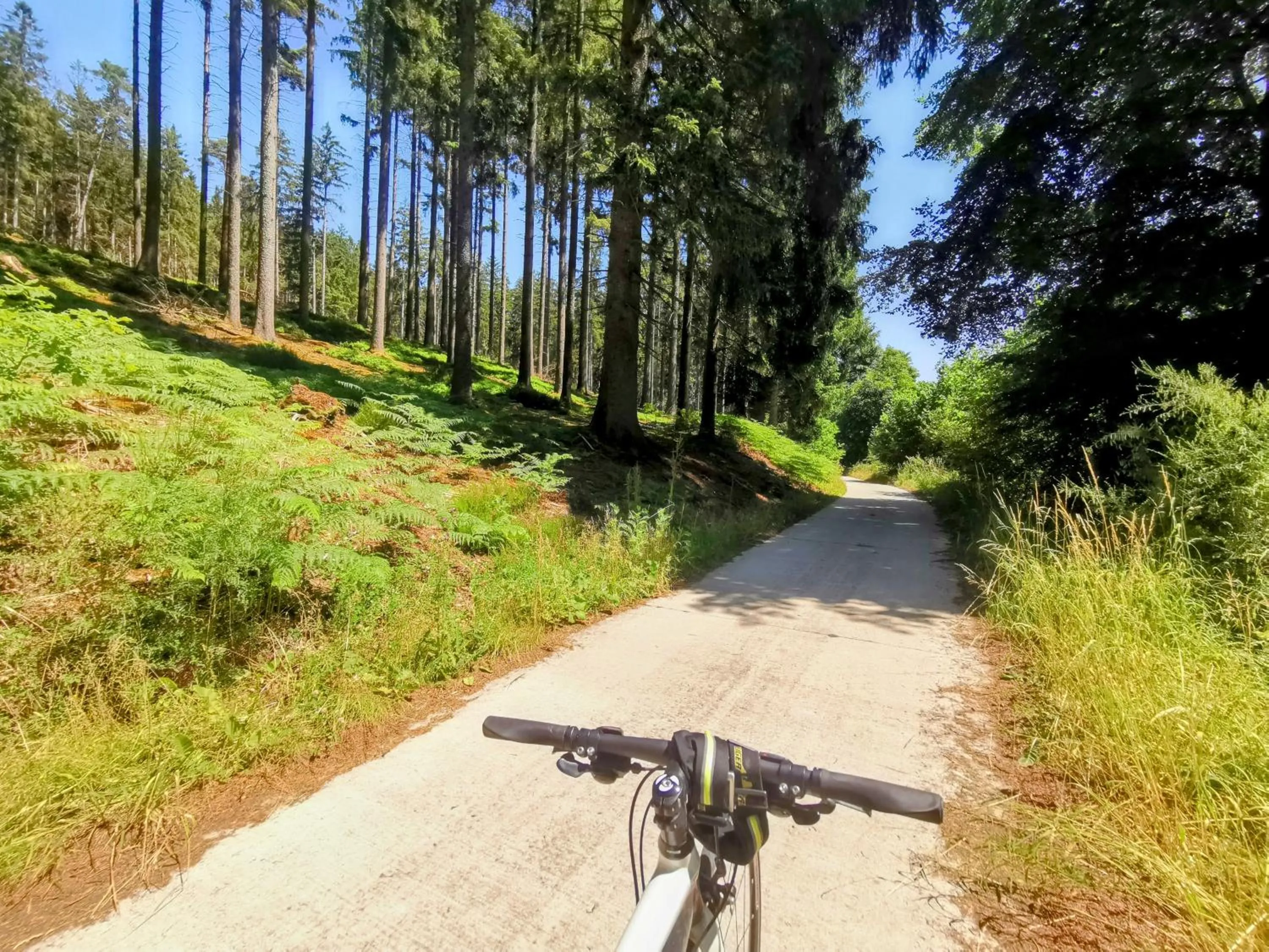 Cycling in Hôtel L'Amandier