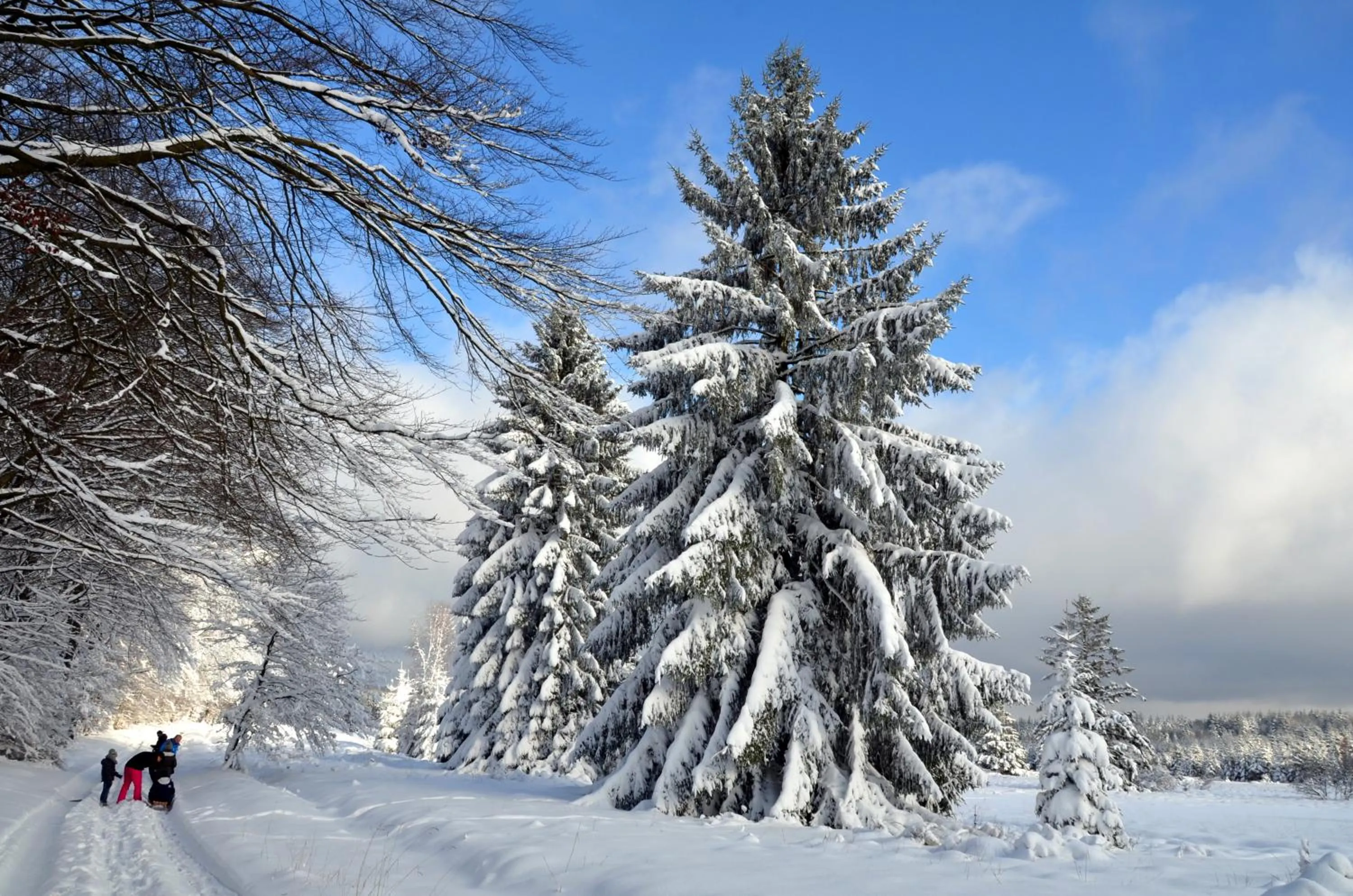 Natural landscape in Hôtel L'Amandier