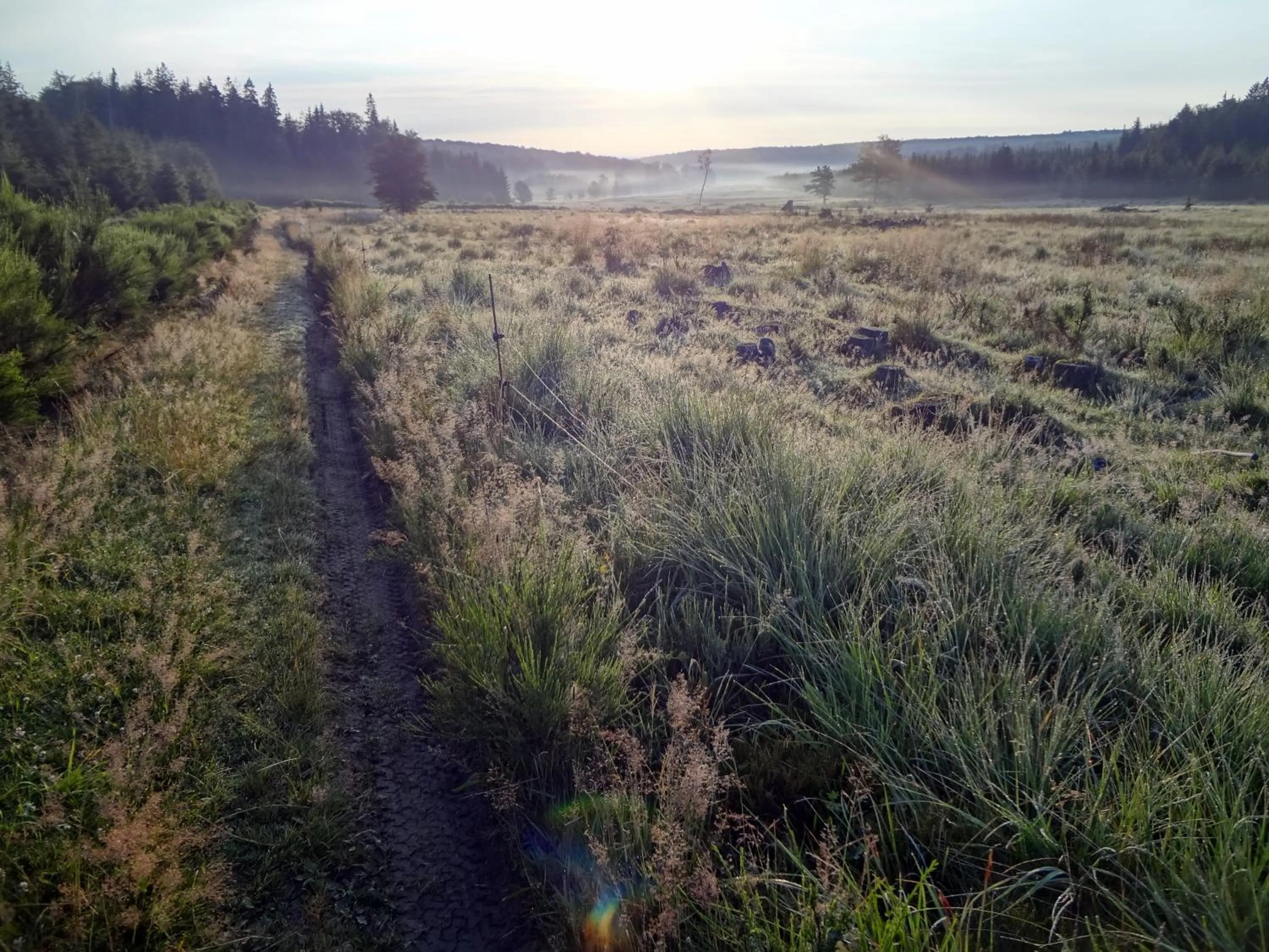 Natural landscape in Hôtel L'Amandier