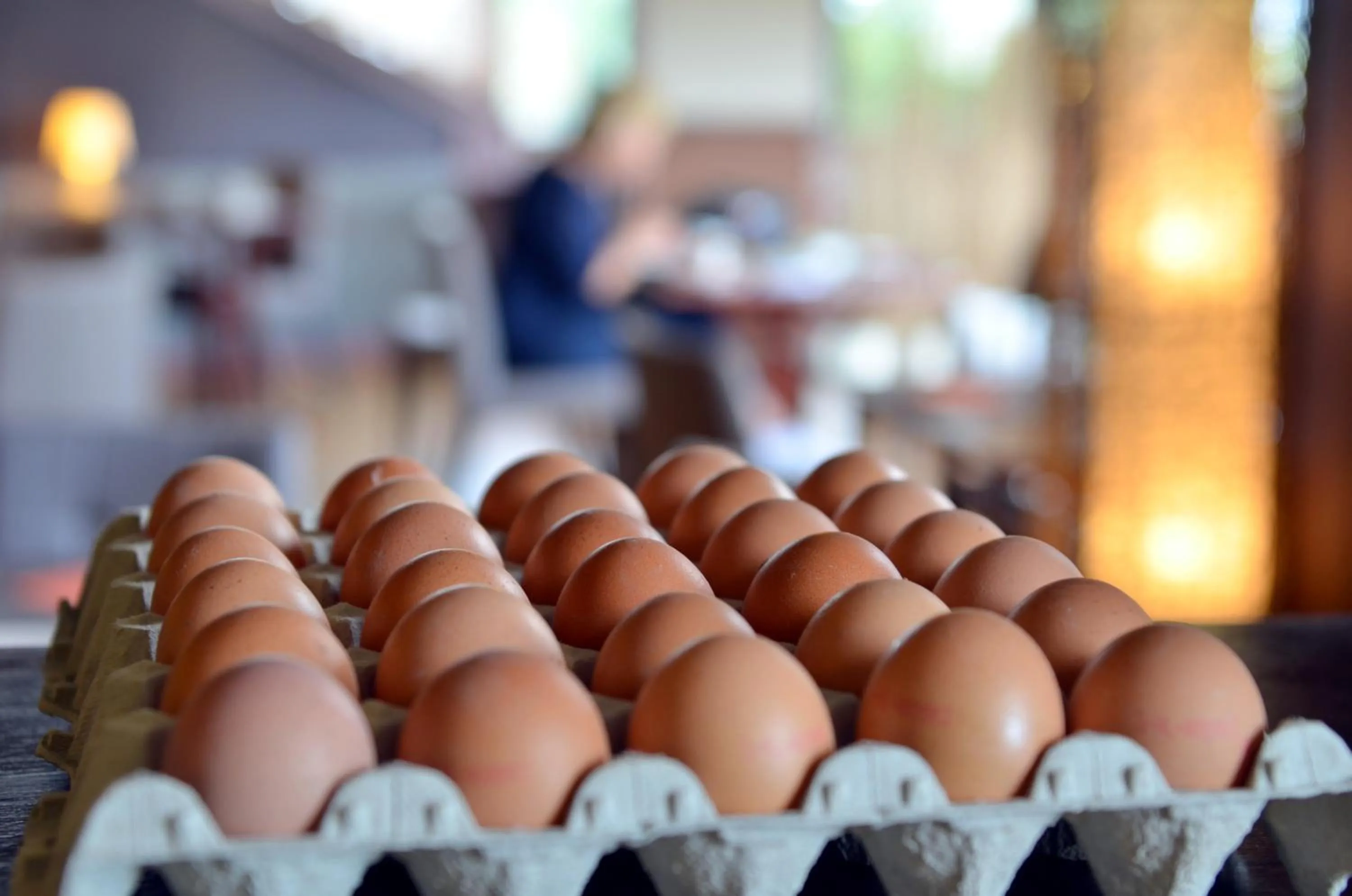 Buffet breakfast in Hôtel L'Amandier