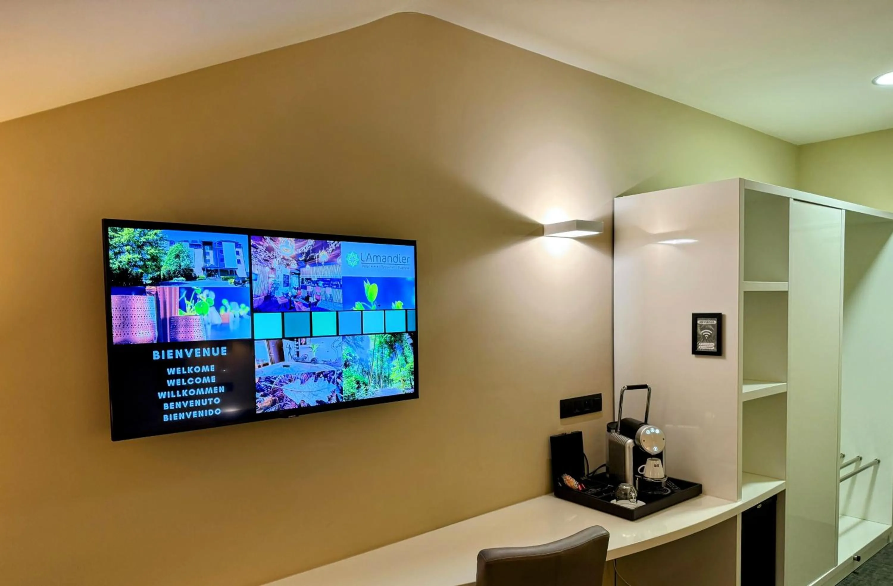 TV and multimedia in Hôtel L'Amandier