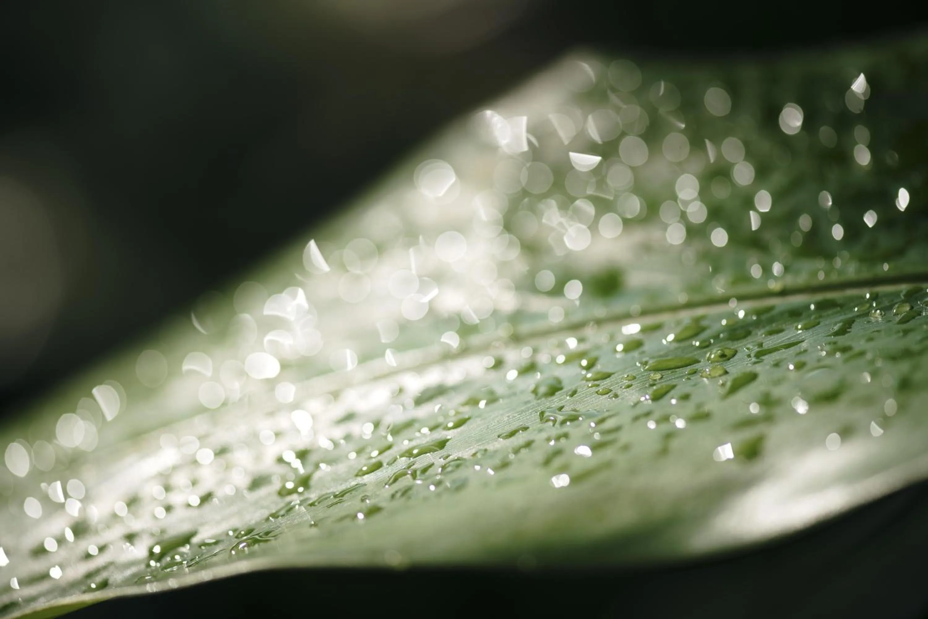 Bathroom in Sandals Montego Bay All Inclusive - Couples Only