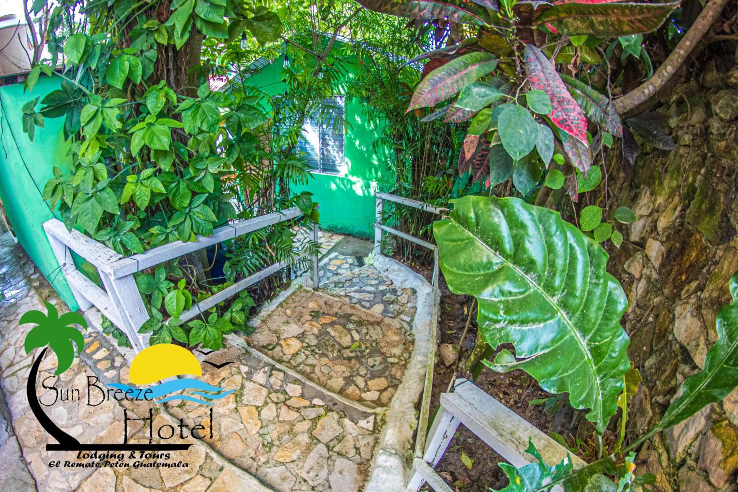 Garden in Sun Breeze Hotel