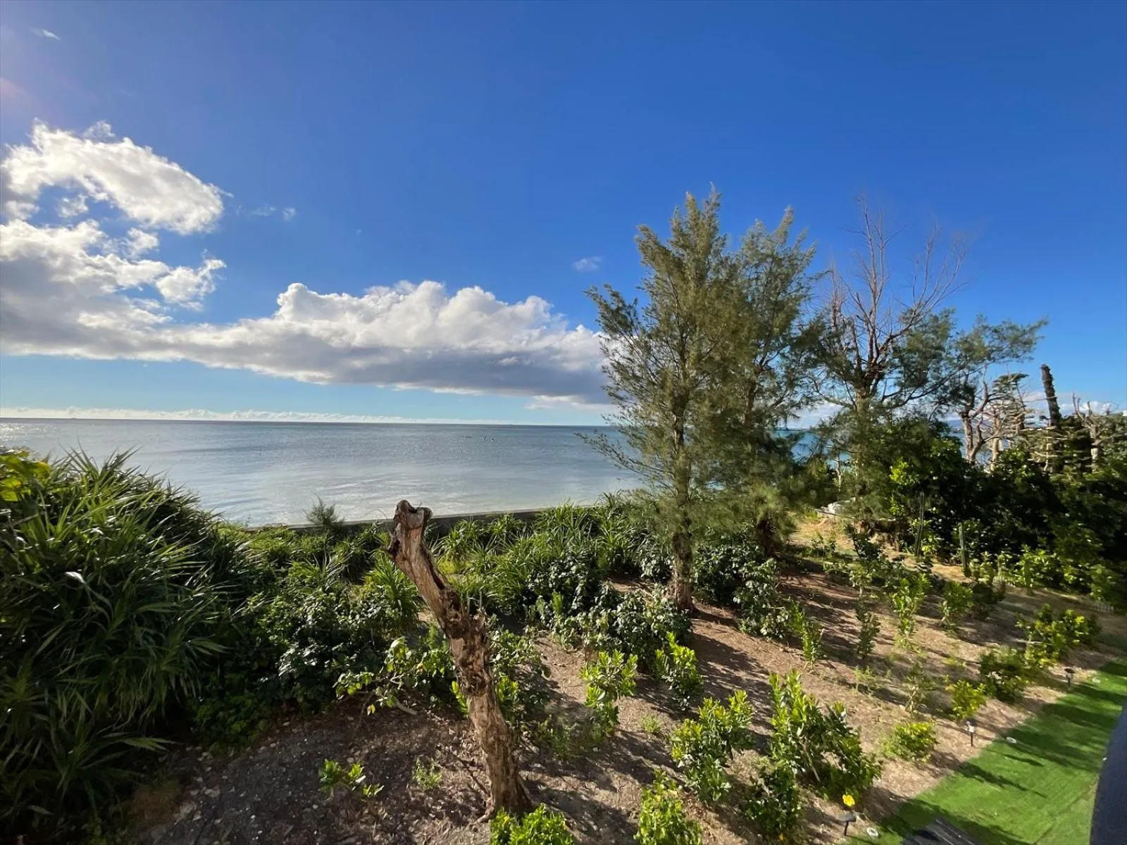 Day in The Peridot Smart Hotel Tancha Ward