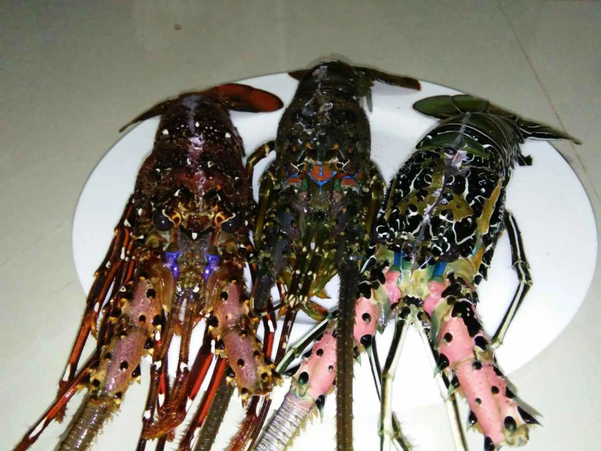 Food in Ging View Villa