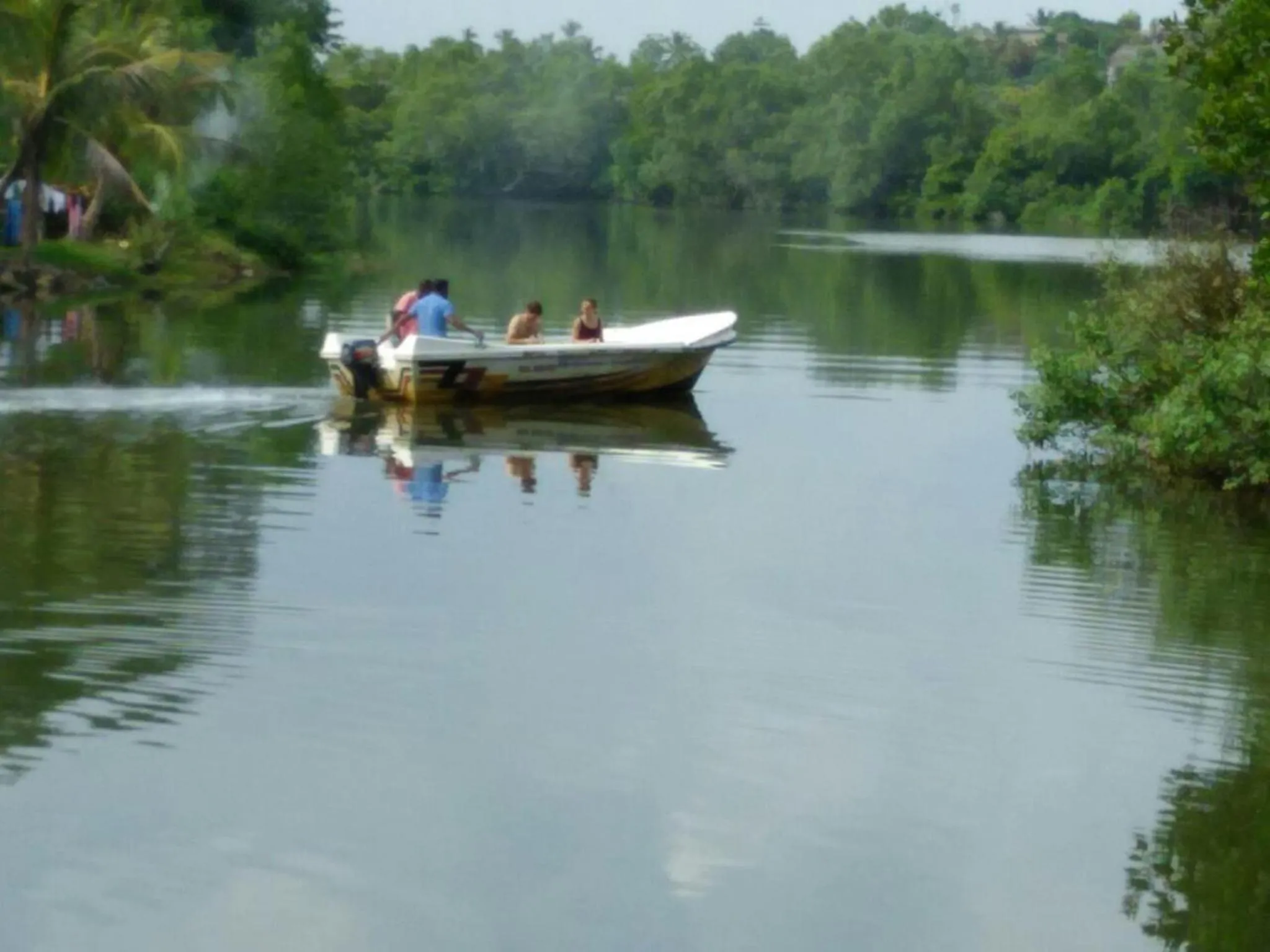 Area and facilities in Ging View Villa
