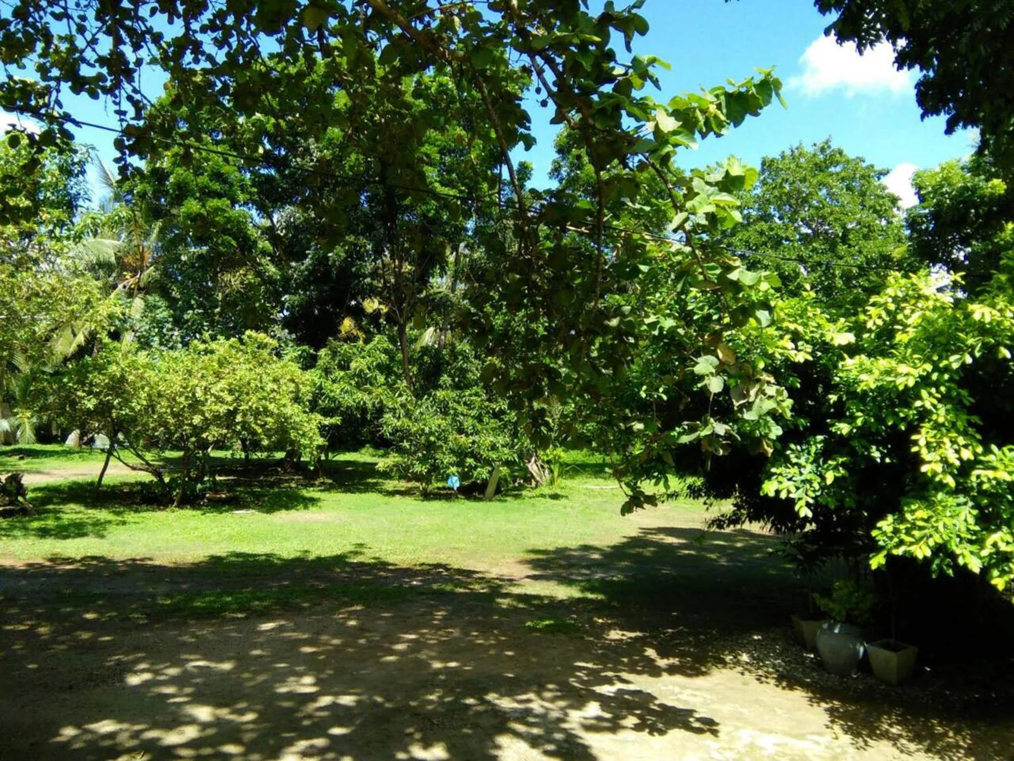 Garden view in Ging View Villa