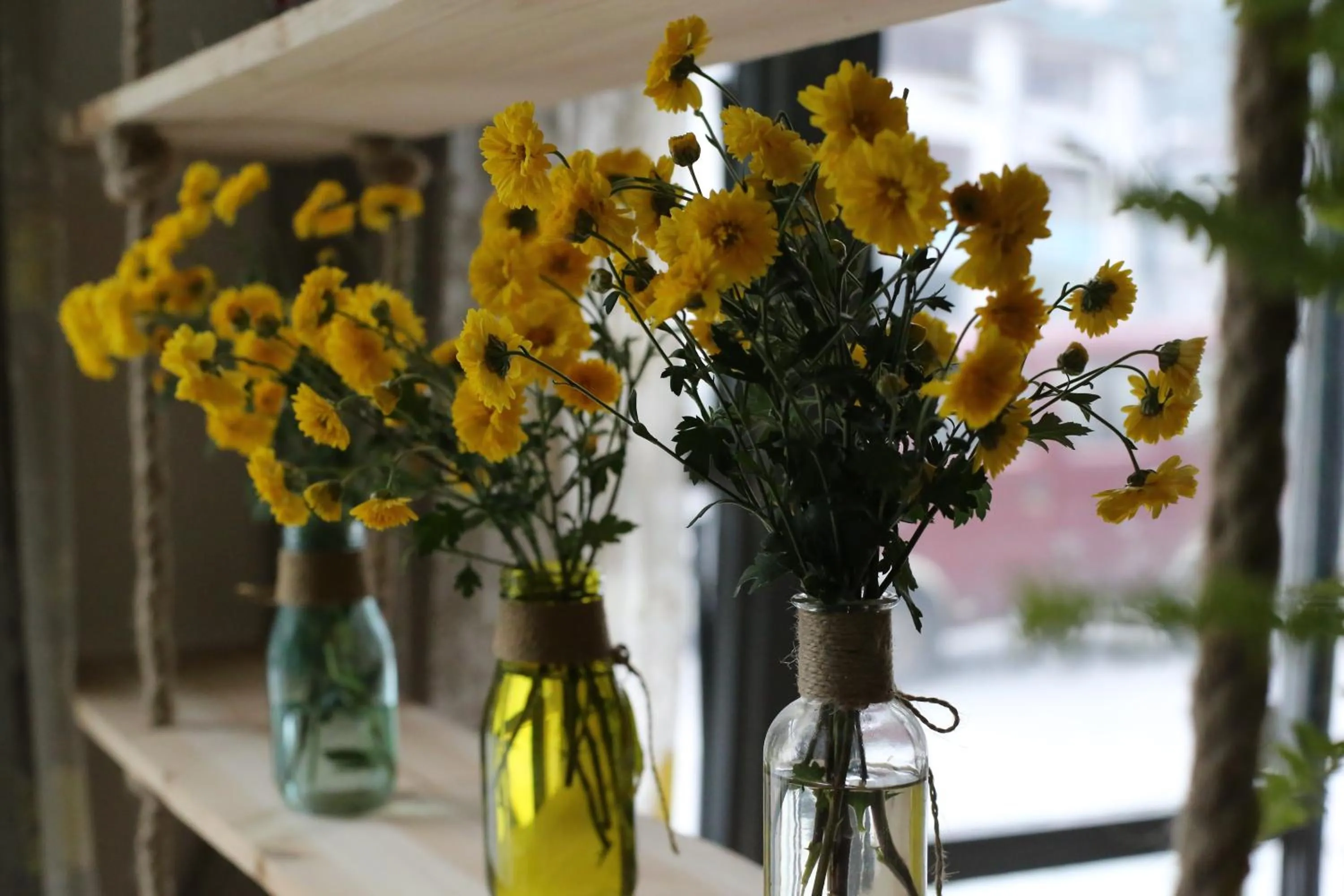 Lounge or bar in Kunlun International Youth Hostel