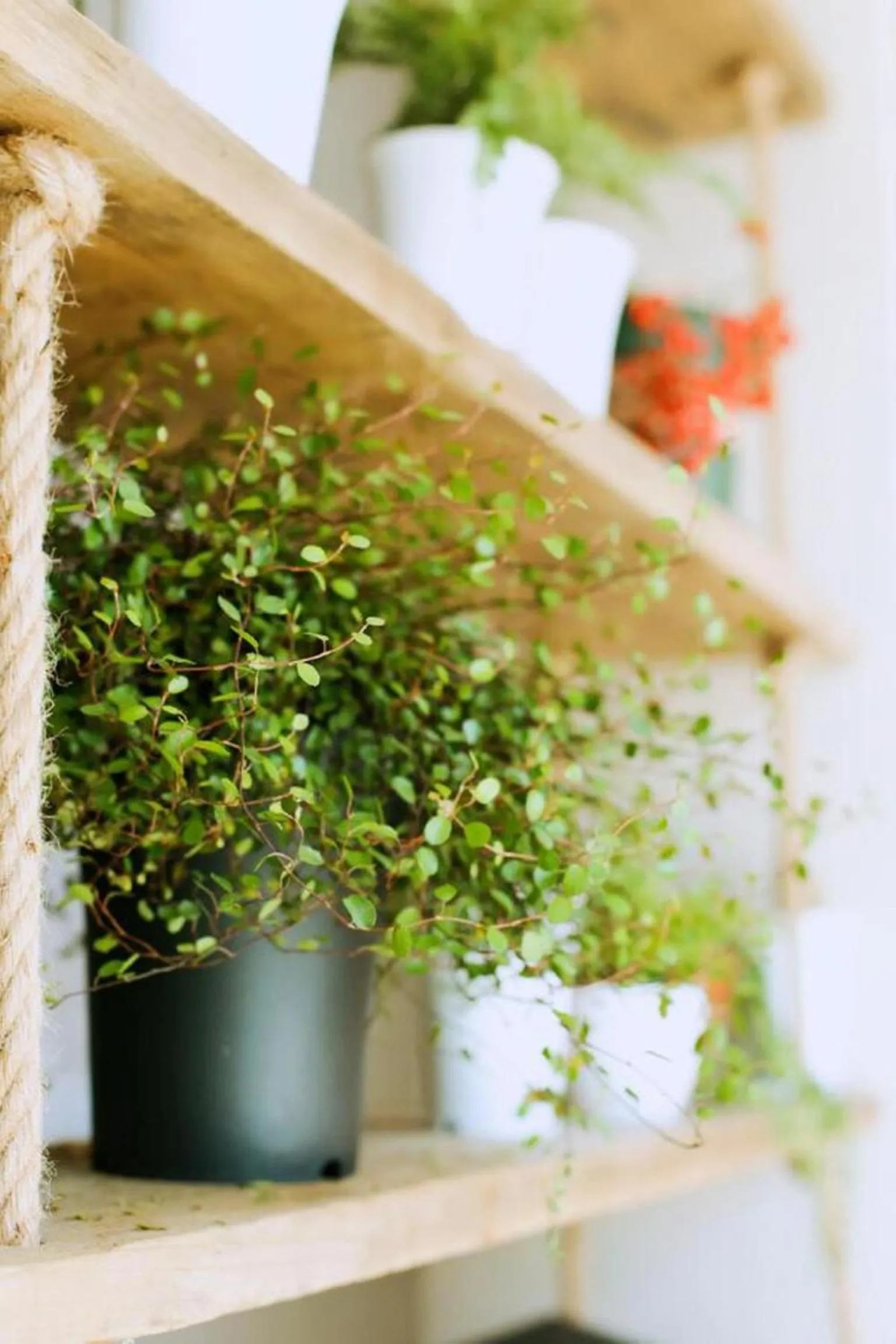 Decorative detail in Kunlun International Youth Hostel