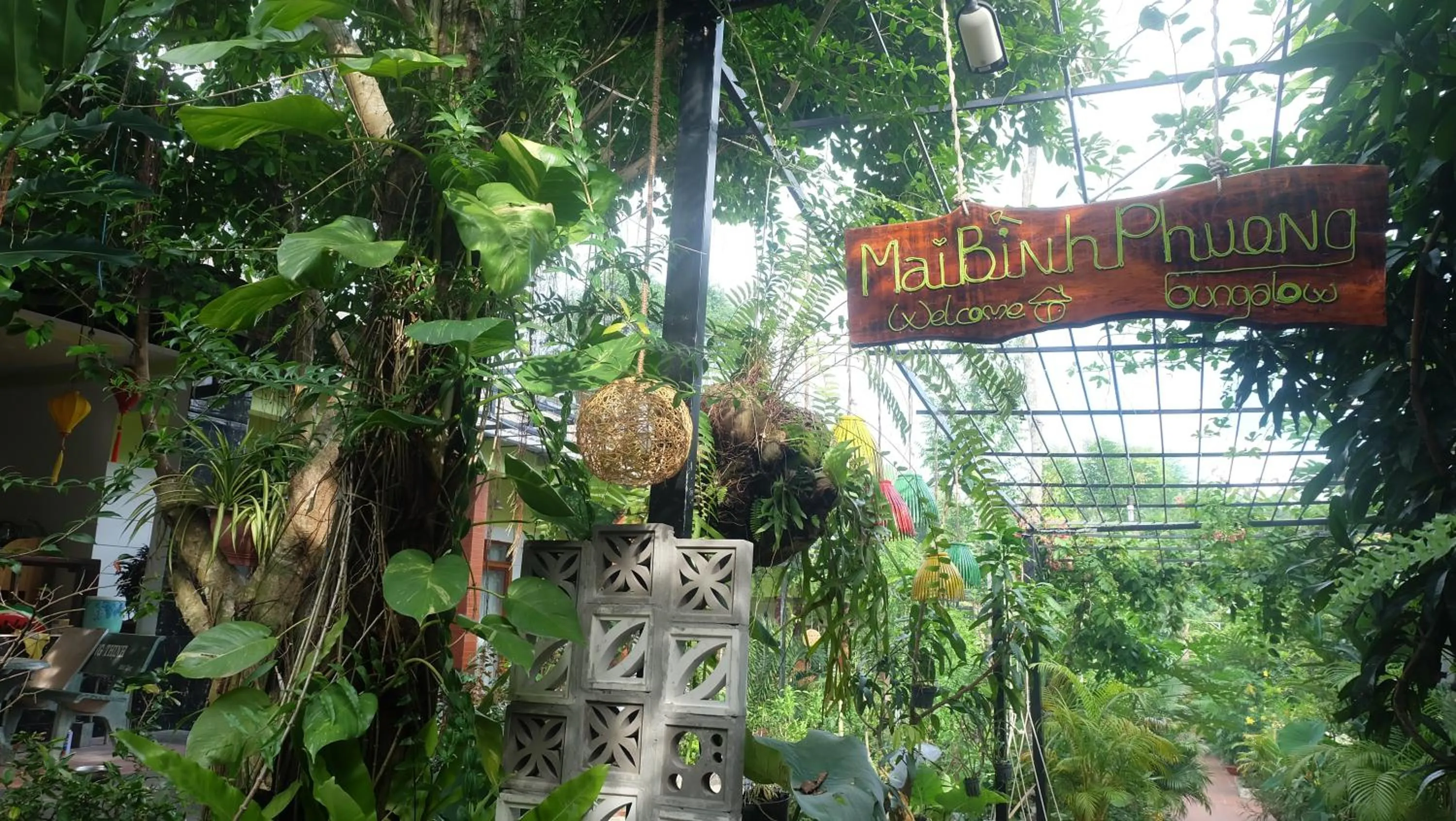 Garden in Mai Binh Phuong Bungalow