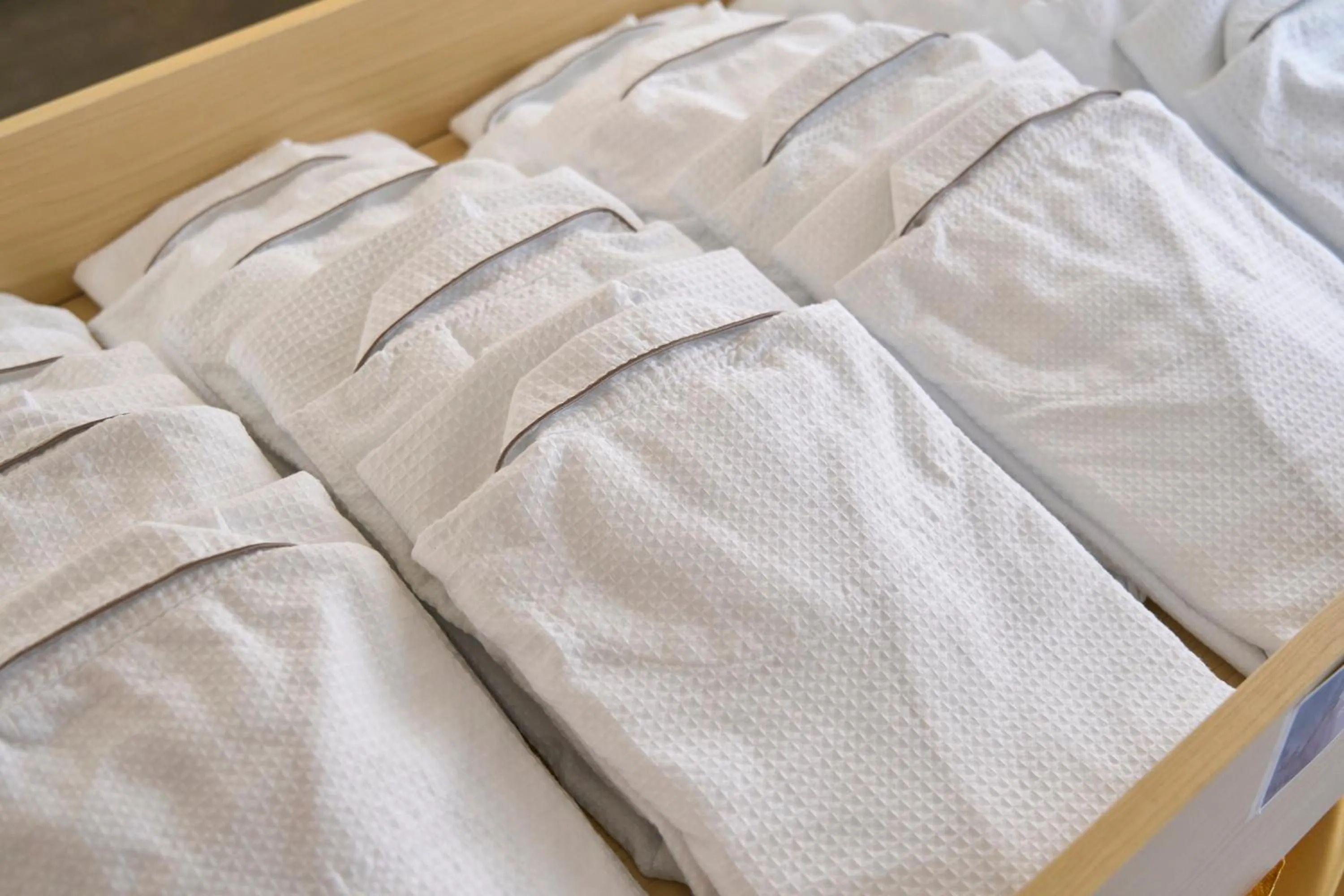 Area and facilities, Bed in Hotel Axia Inn Sapporo Susukino