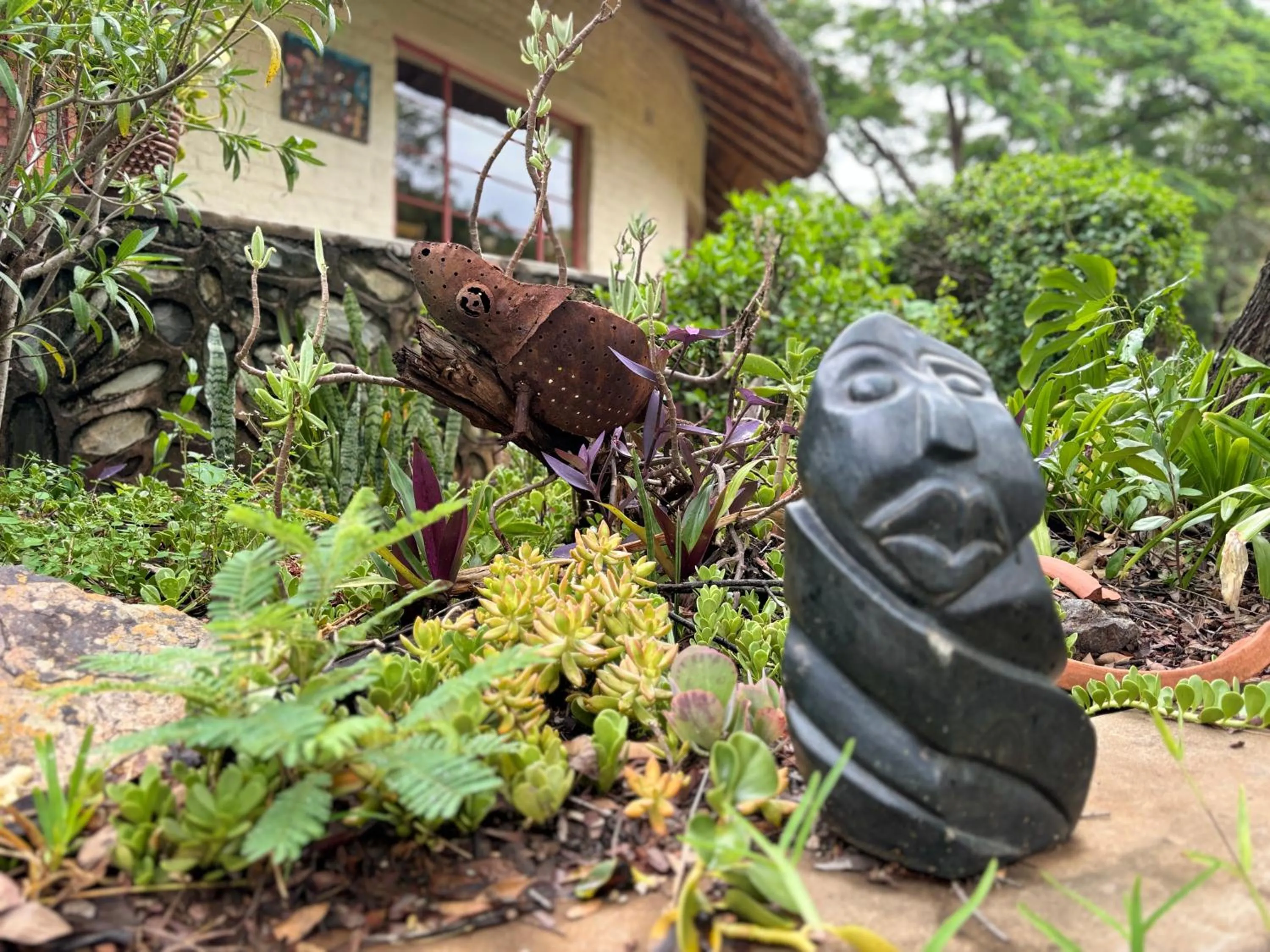 Garden in Musangano Lodge