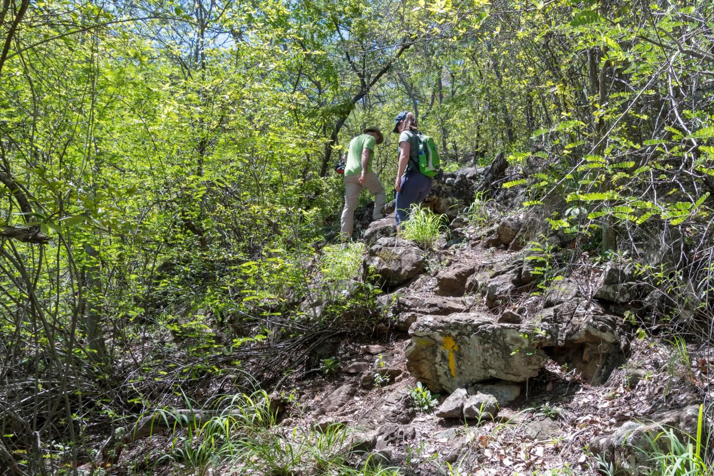 Hiking in Musangano Lodge