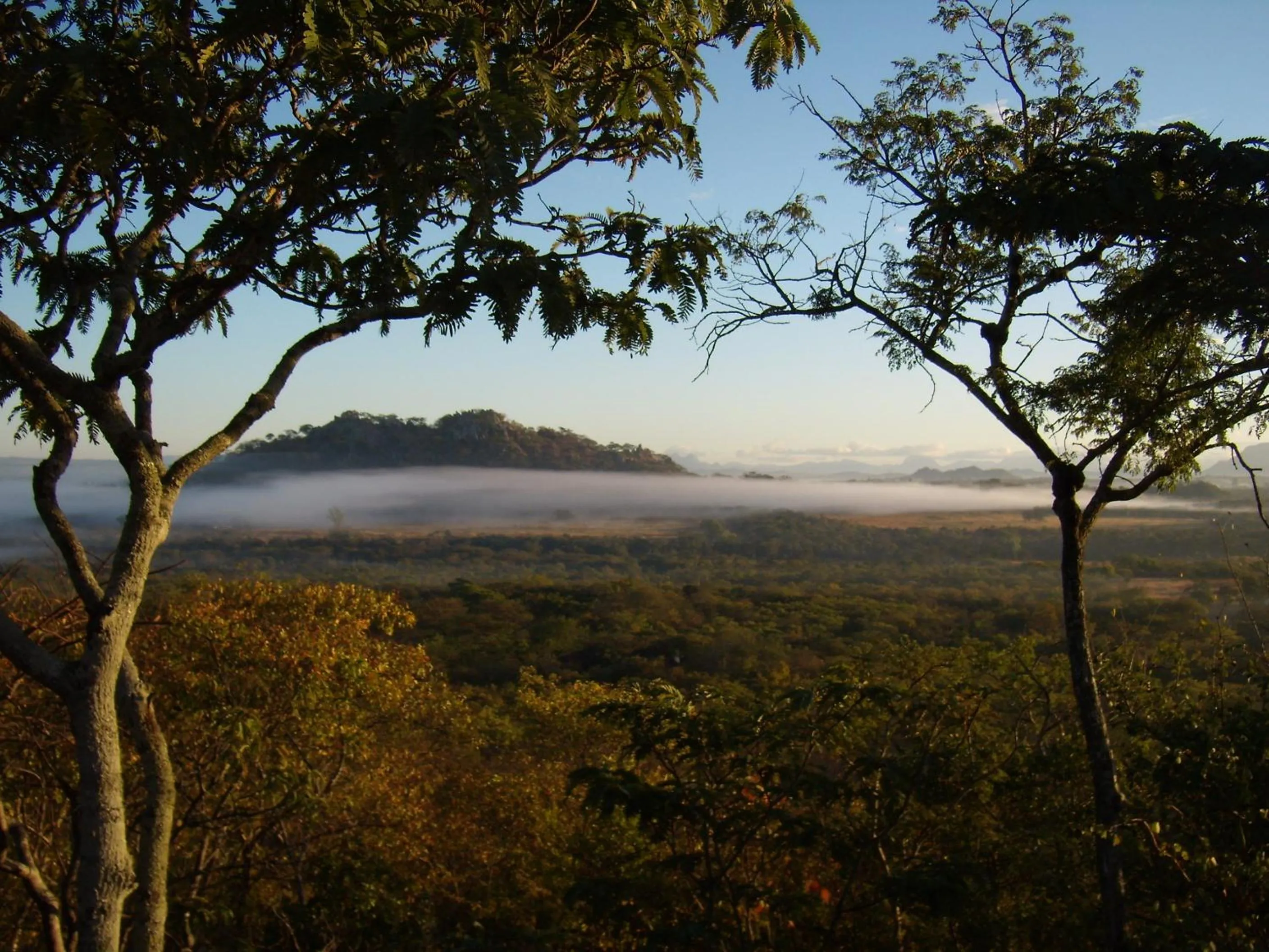 Natural landscape in Musangano Lodge