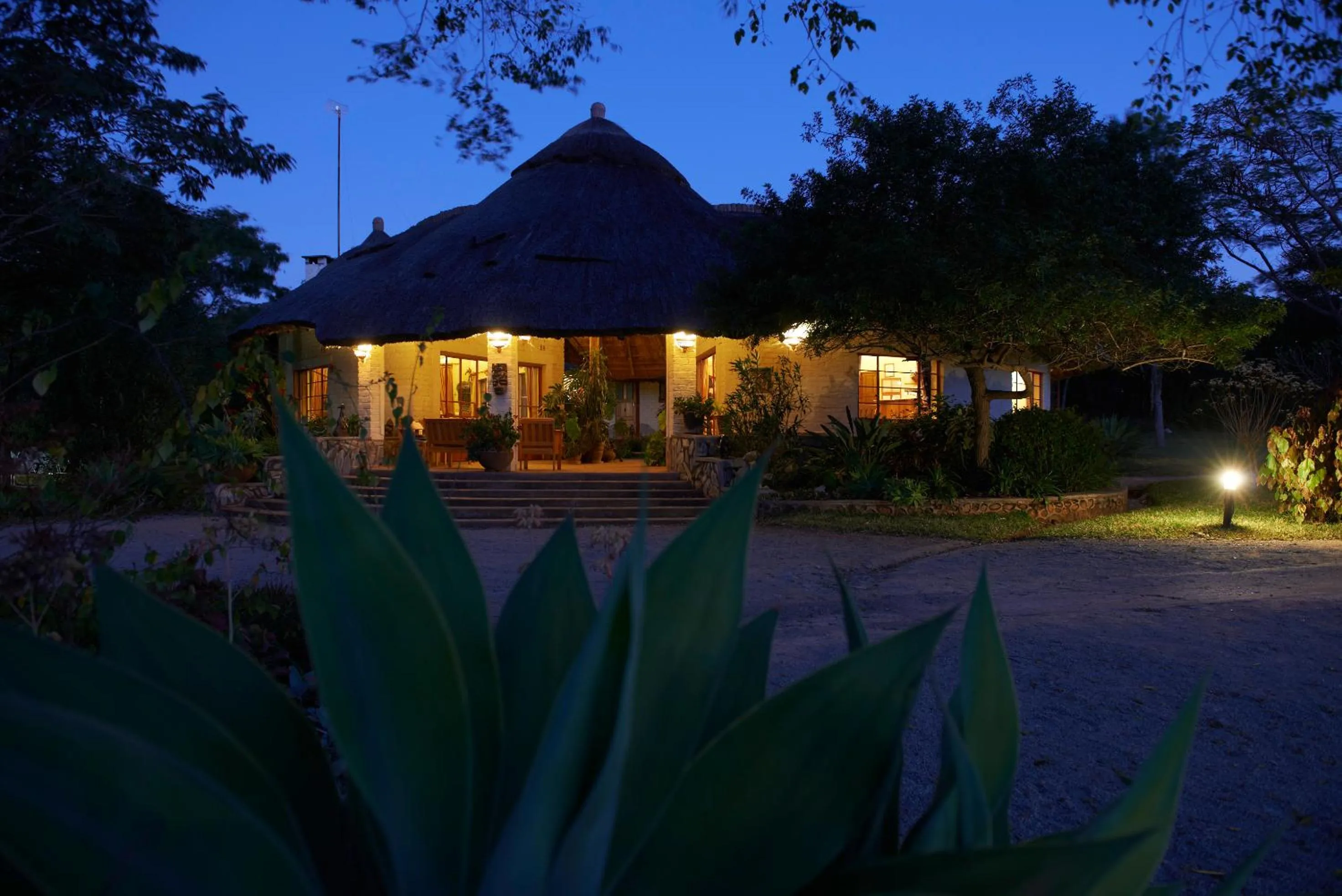 Restaurant/places to eat in Musangano Lodge