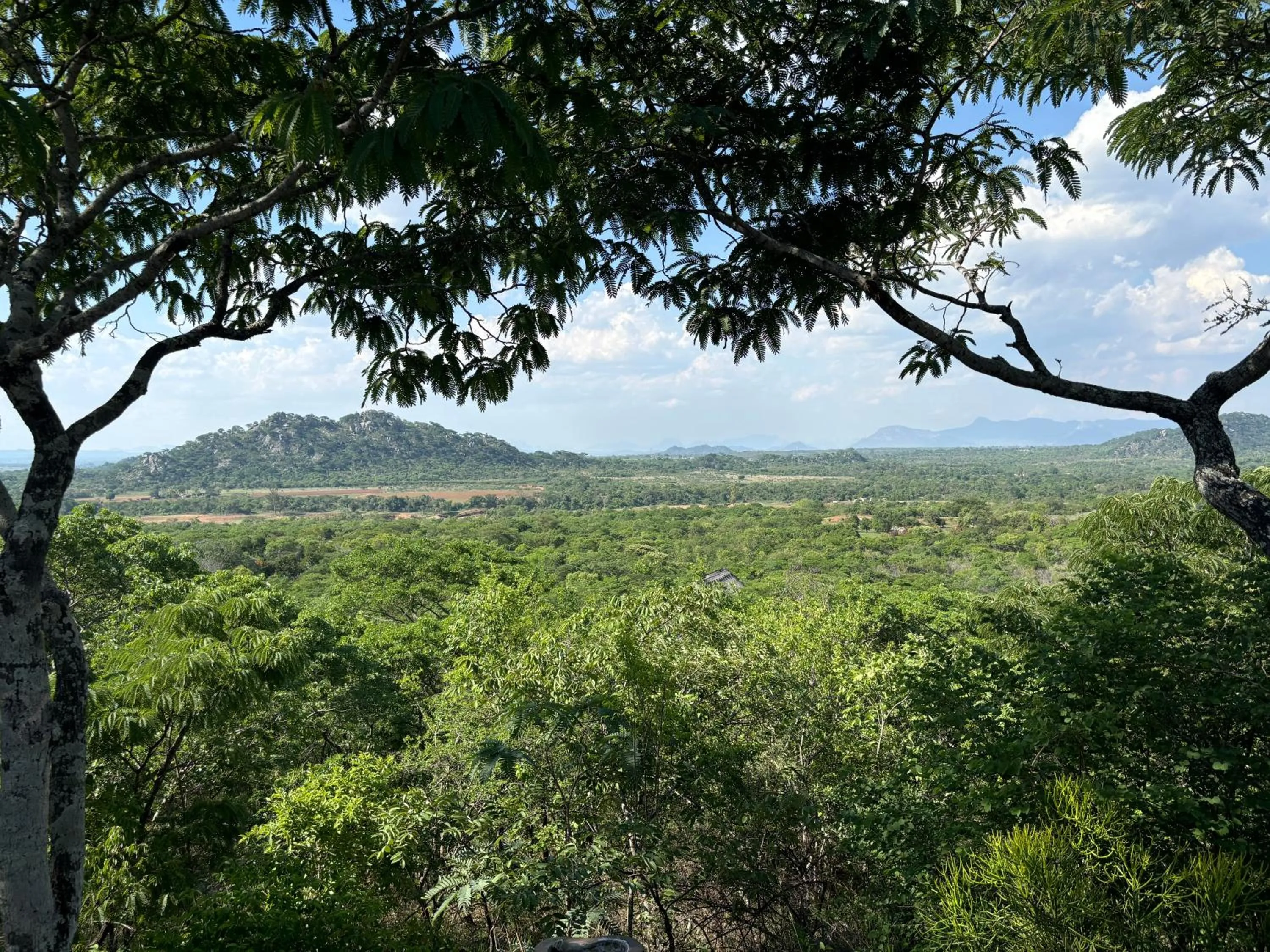 Natural landscape in Musangano Lodge
