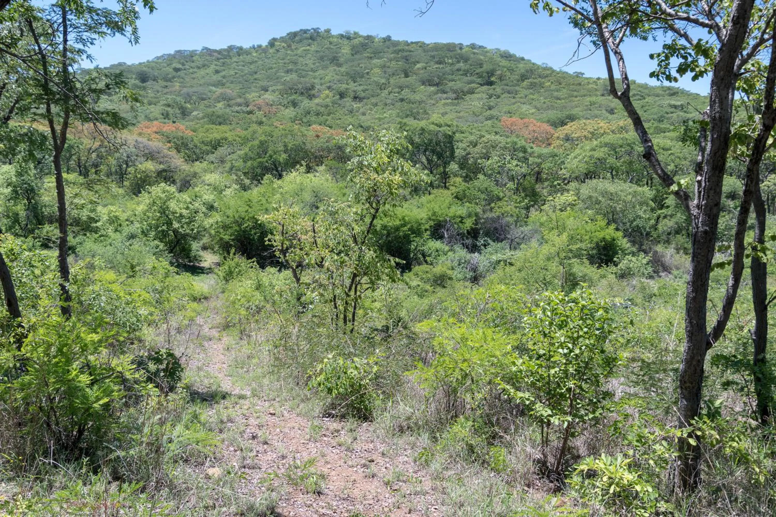 Hiking in Musangano Lodge