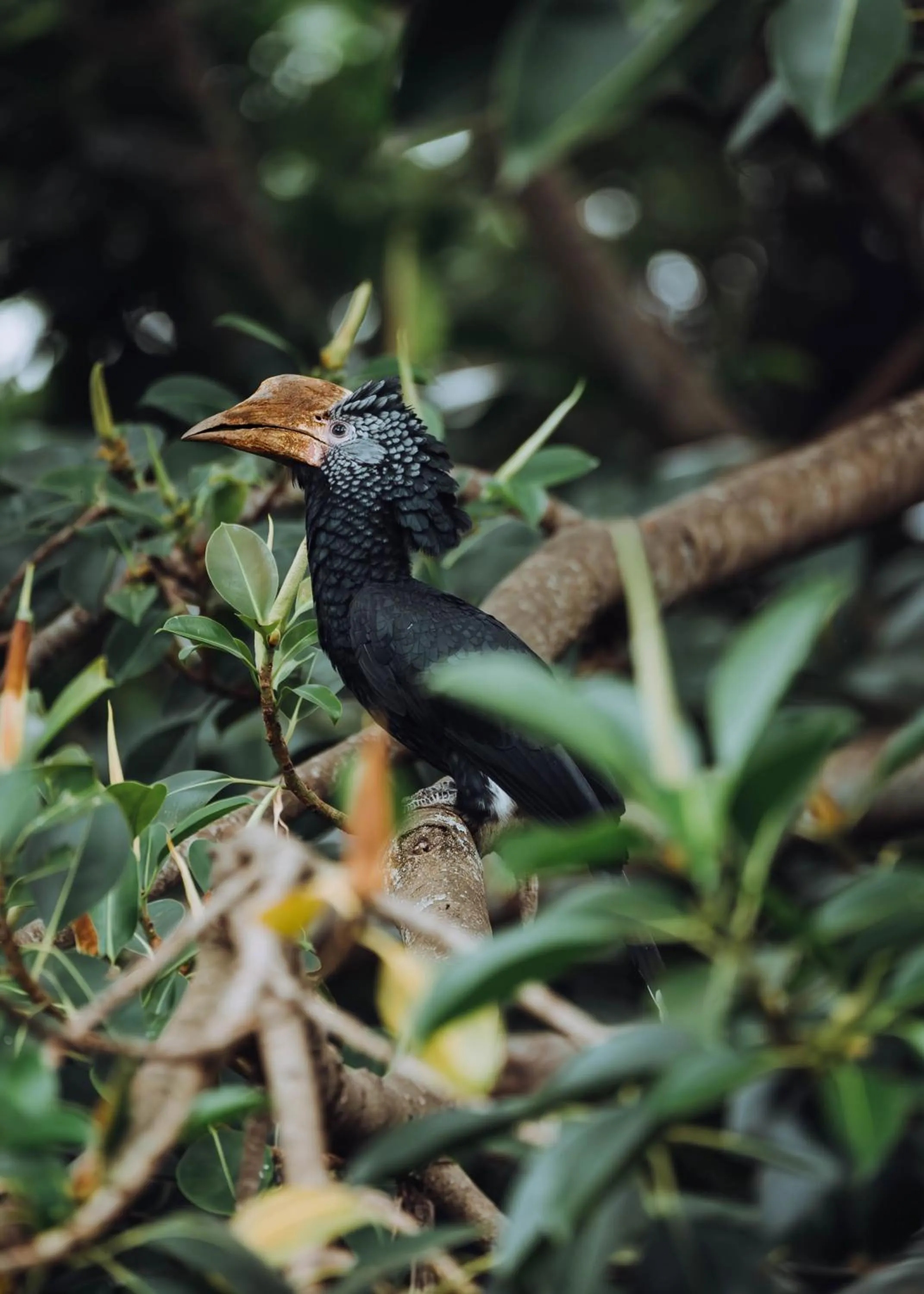 Property building in Aishi Machame