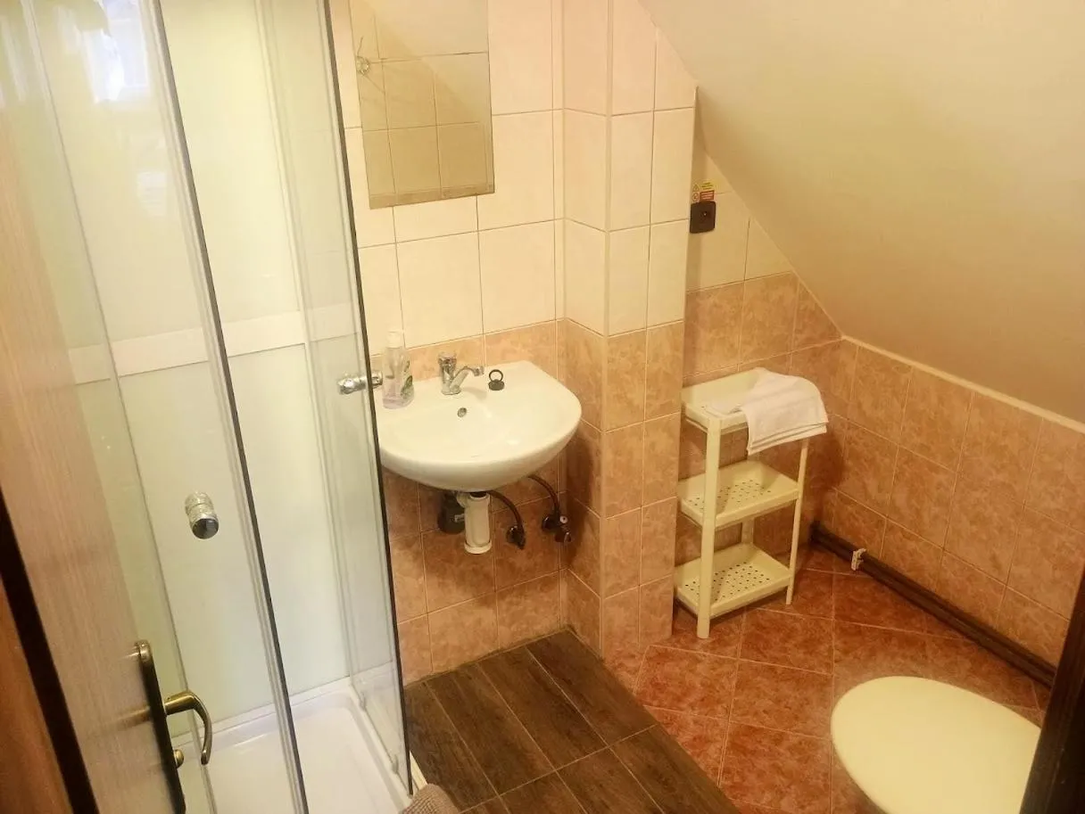 Bathroom in Penzion "V Zelený"