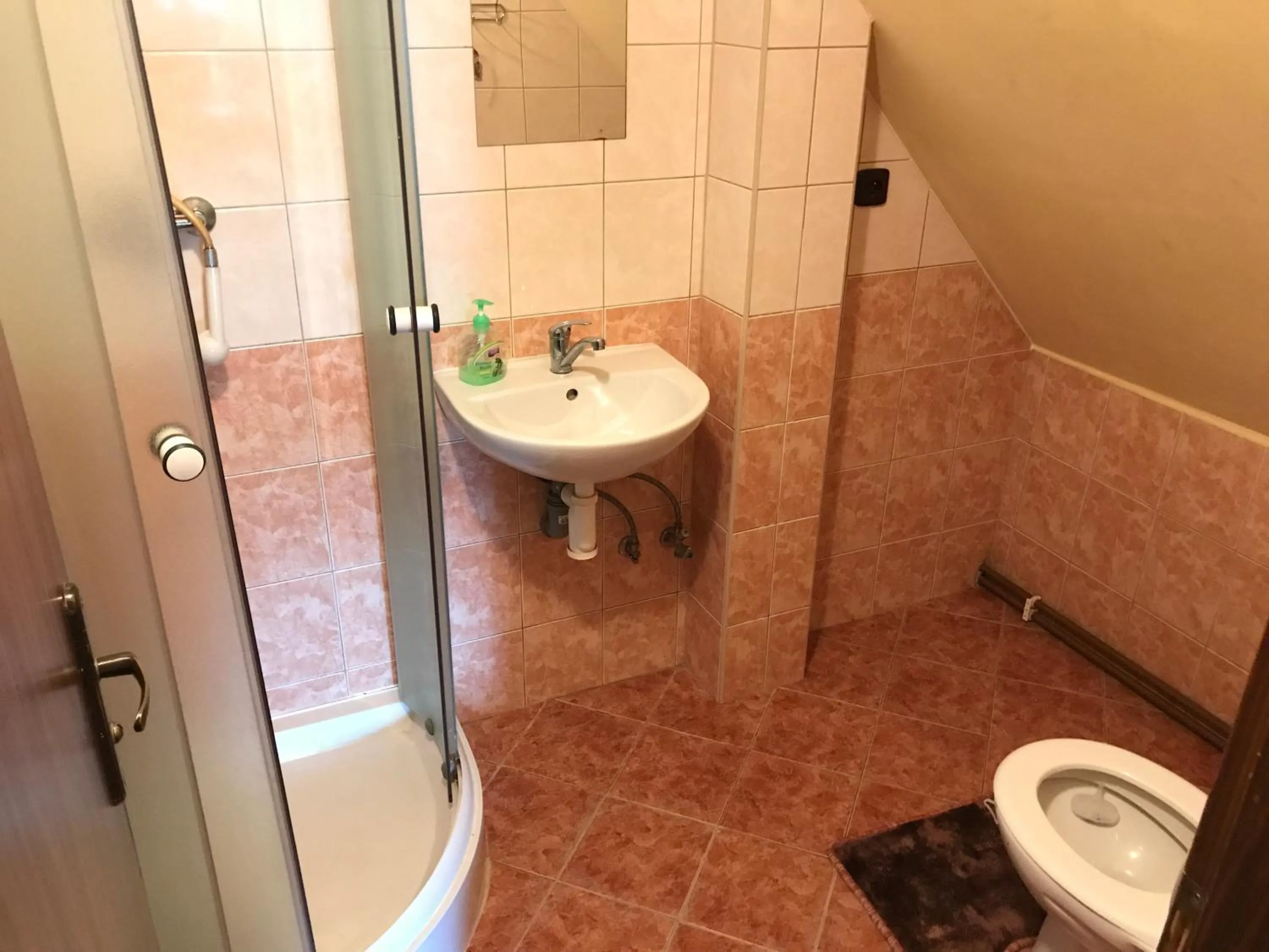 Bathroom in Penzion "V Zelený"