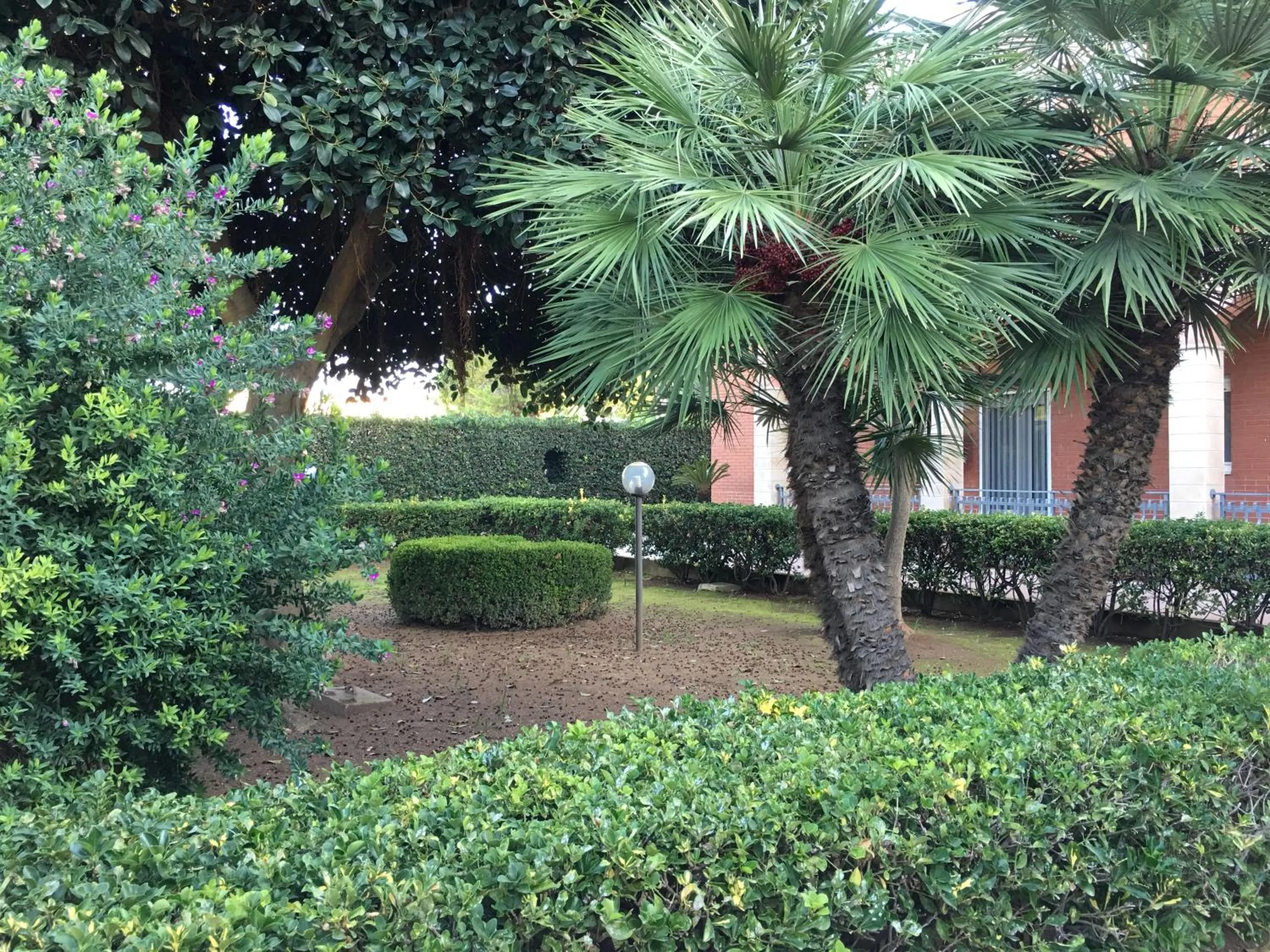 Garden view in Hibiscus