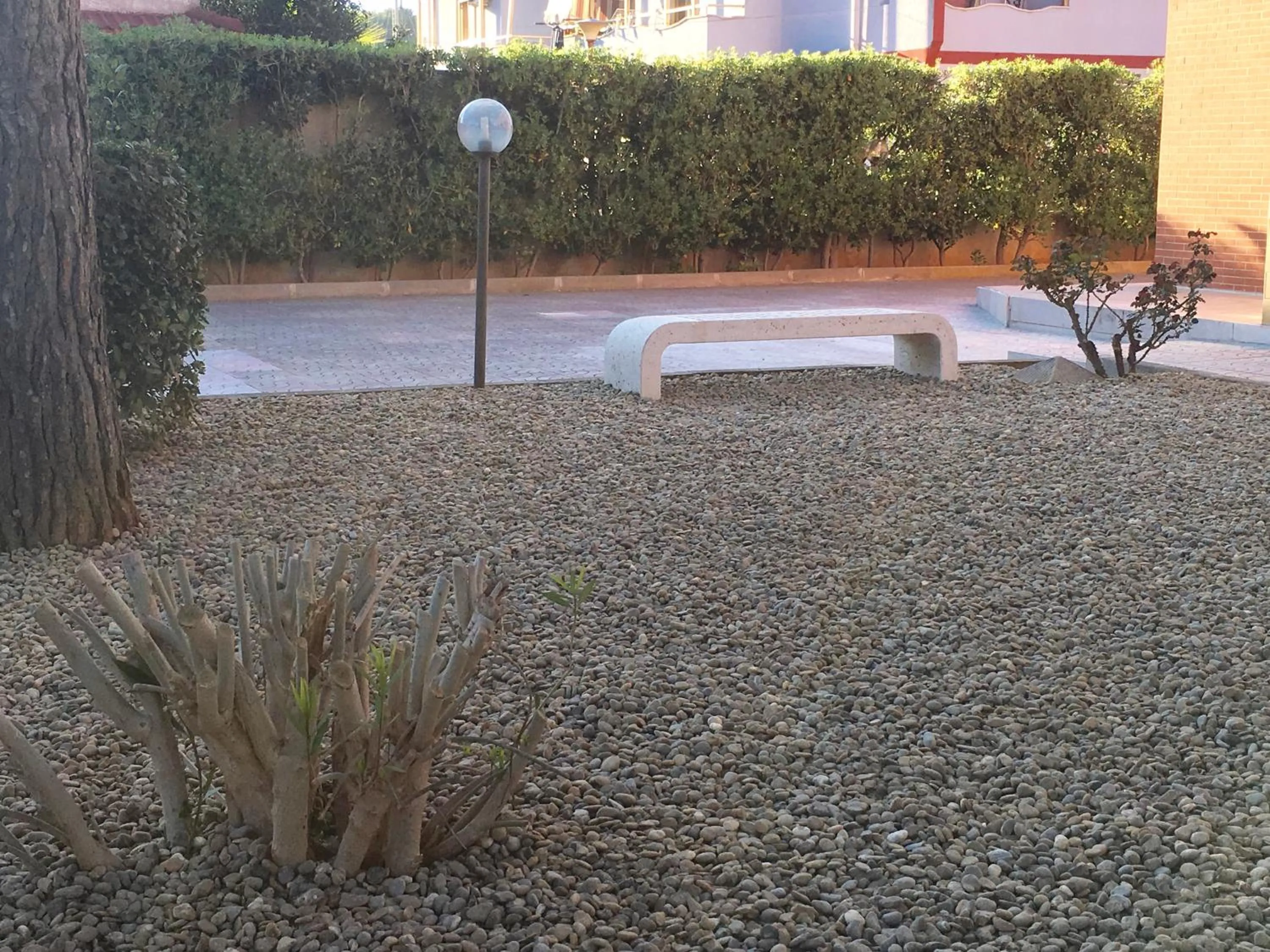 Garden view in Hibiscus