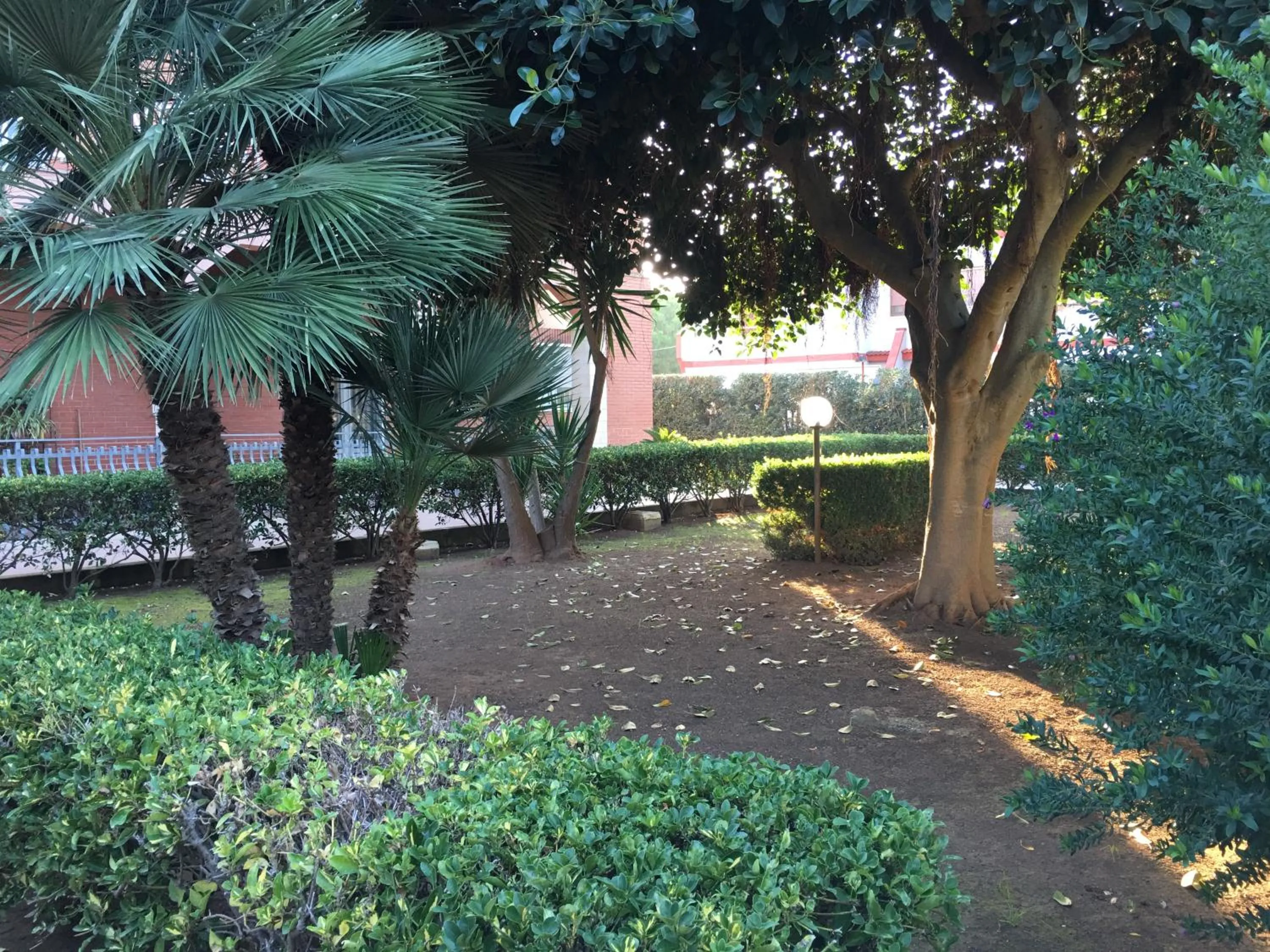 Garden view in Hibiscus