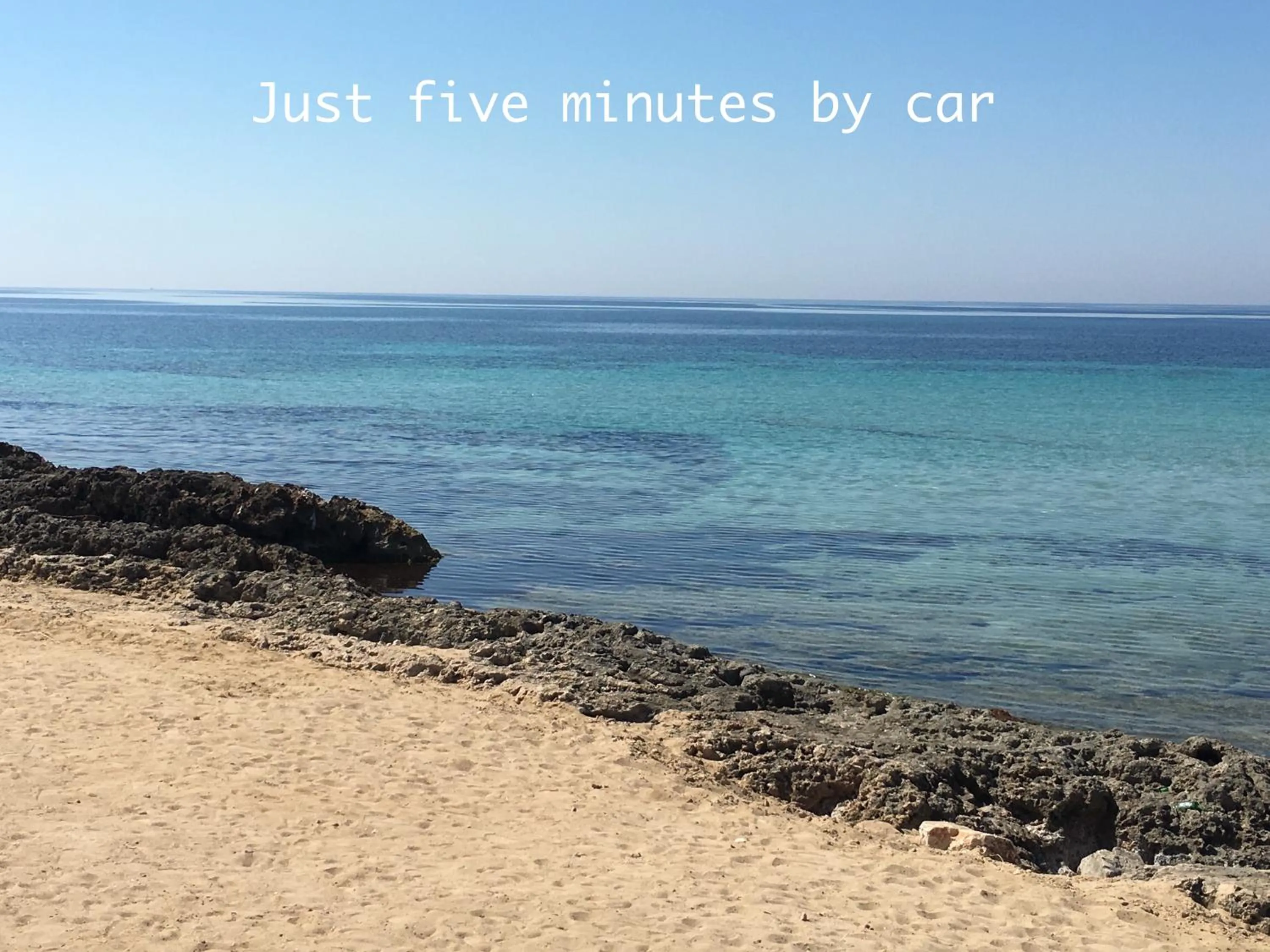 Area and facilities in Hibiscus