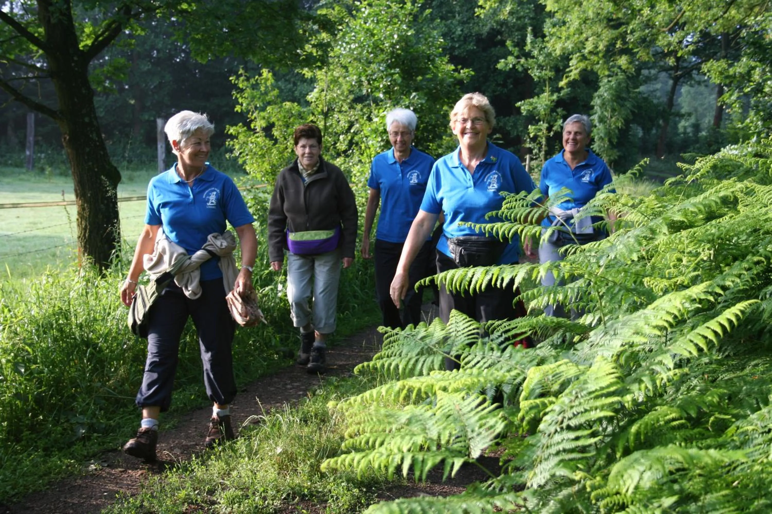 Area and facilities in Hotel Lommel Broek