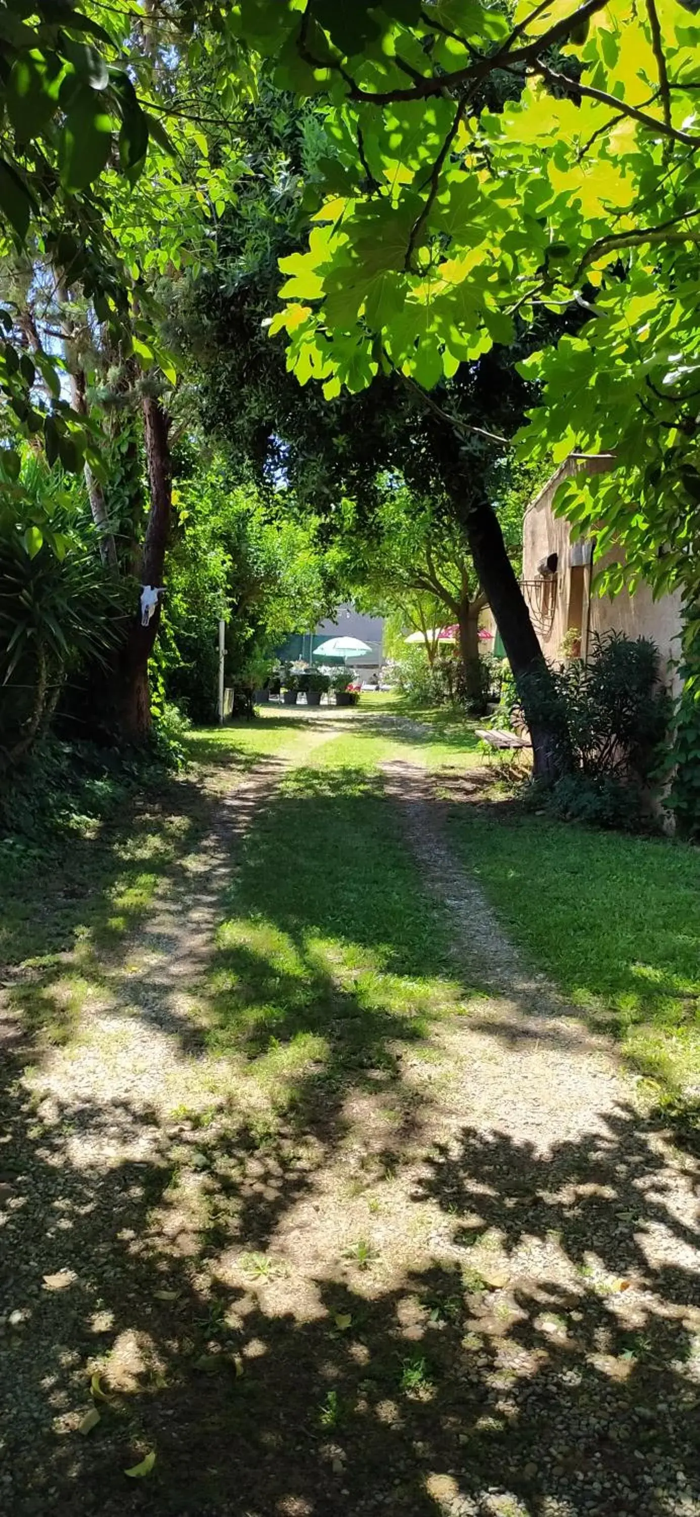 Abrivado Aimargues en petite camargue, parking intérieur, wifi, jardin Abrivado Aimargues en petite camargue, parking intérieur, wifi, jardin